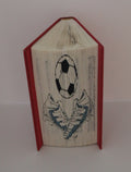 Livre ballon et chaussures de foot