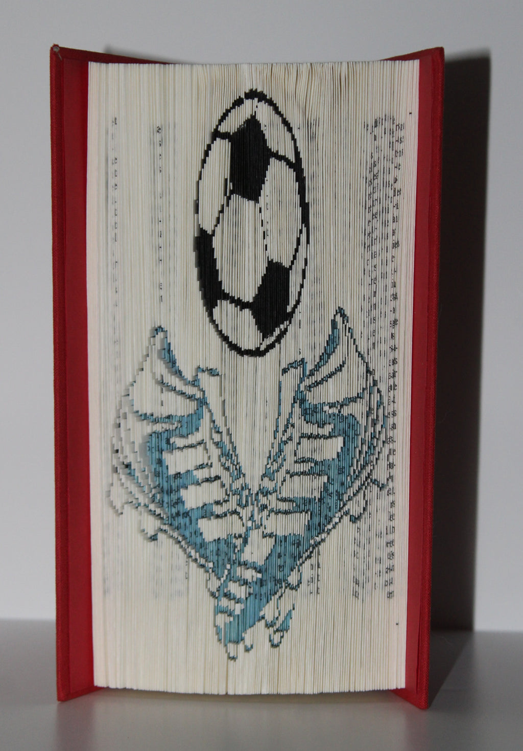 Livre ballon et chaussures de foot