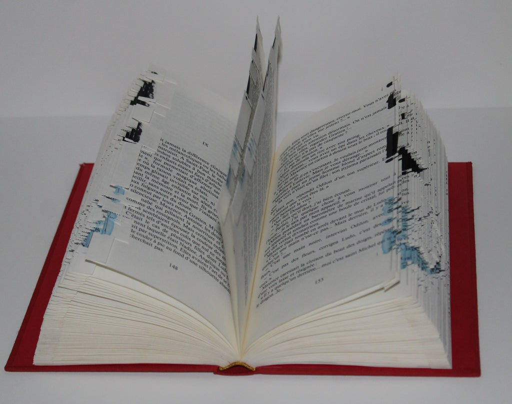 Livre ballon et chaussures de foot