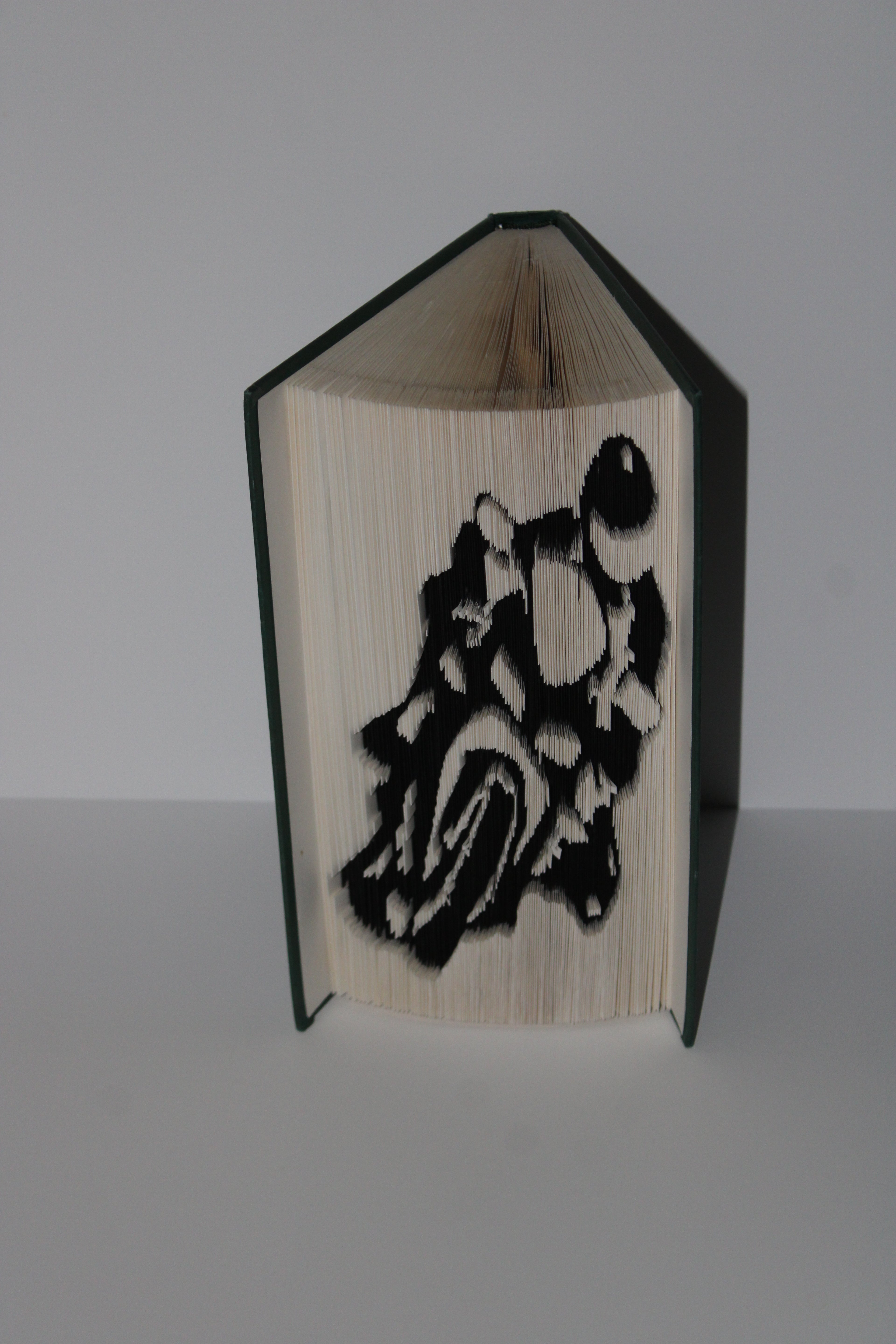 Livre motard