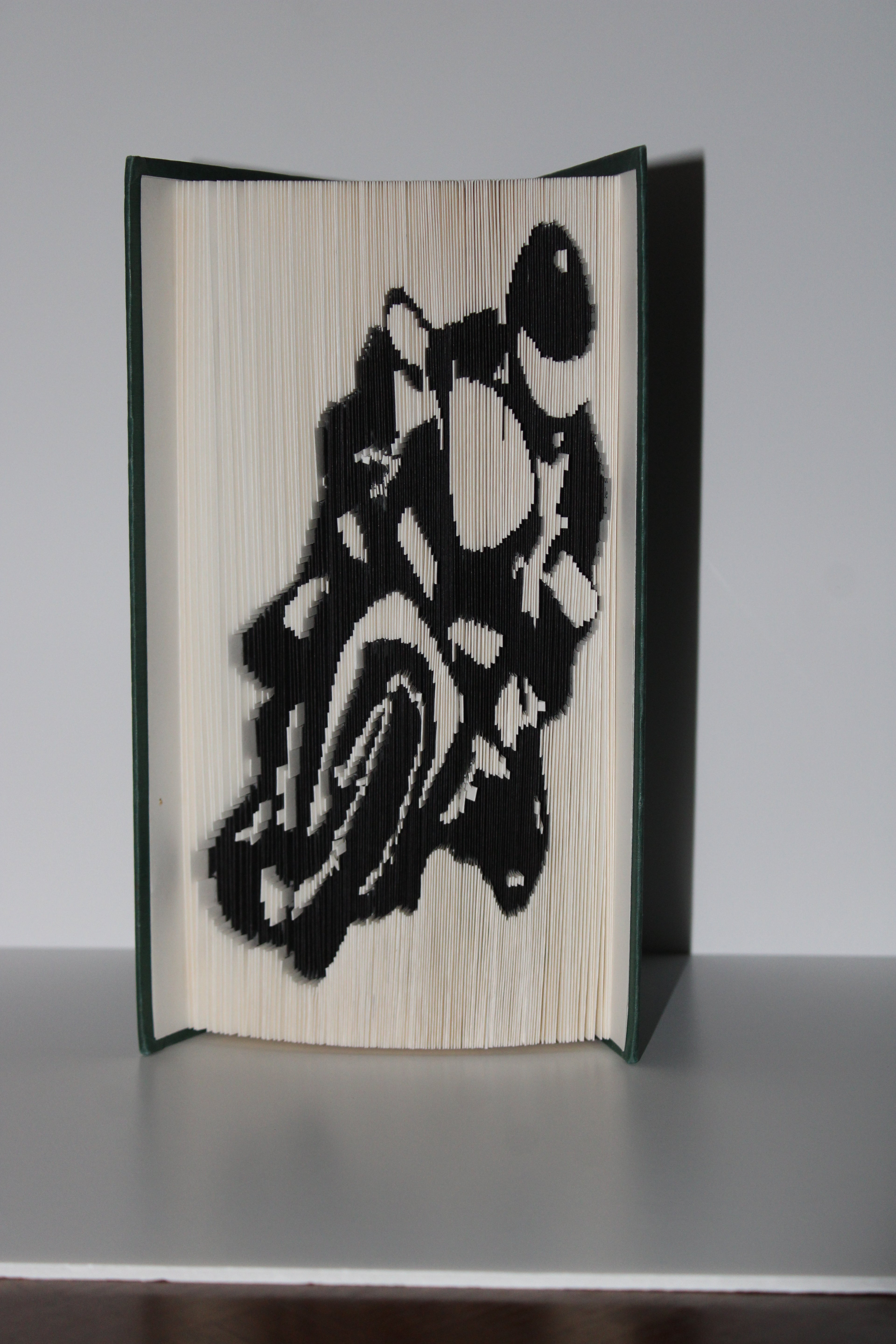 Livre motard
