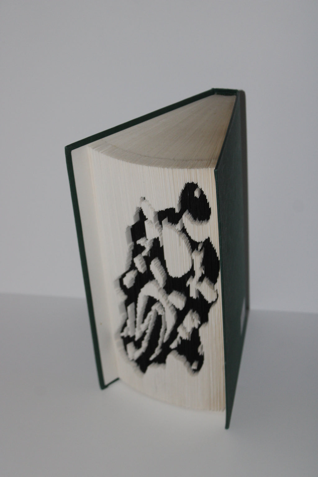 Livre motard
