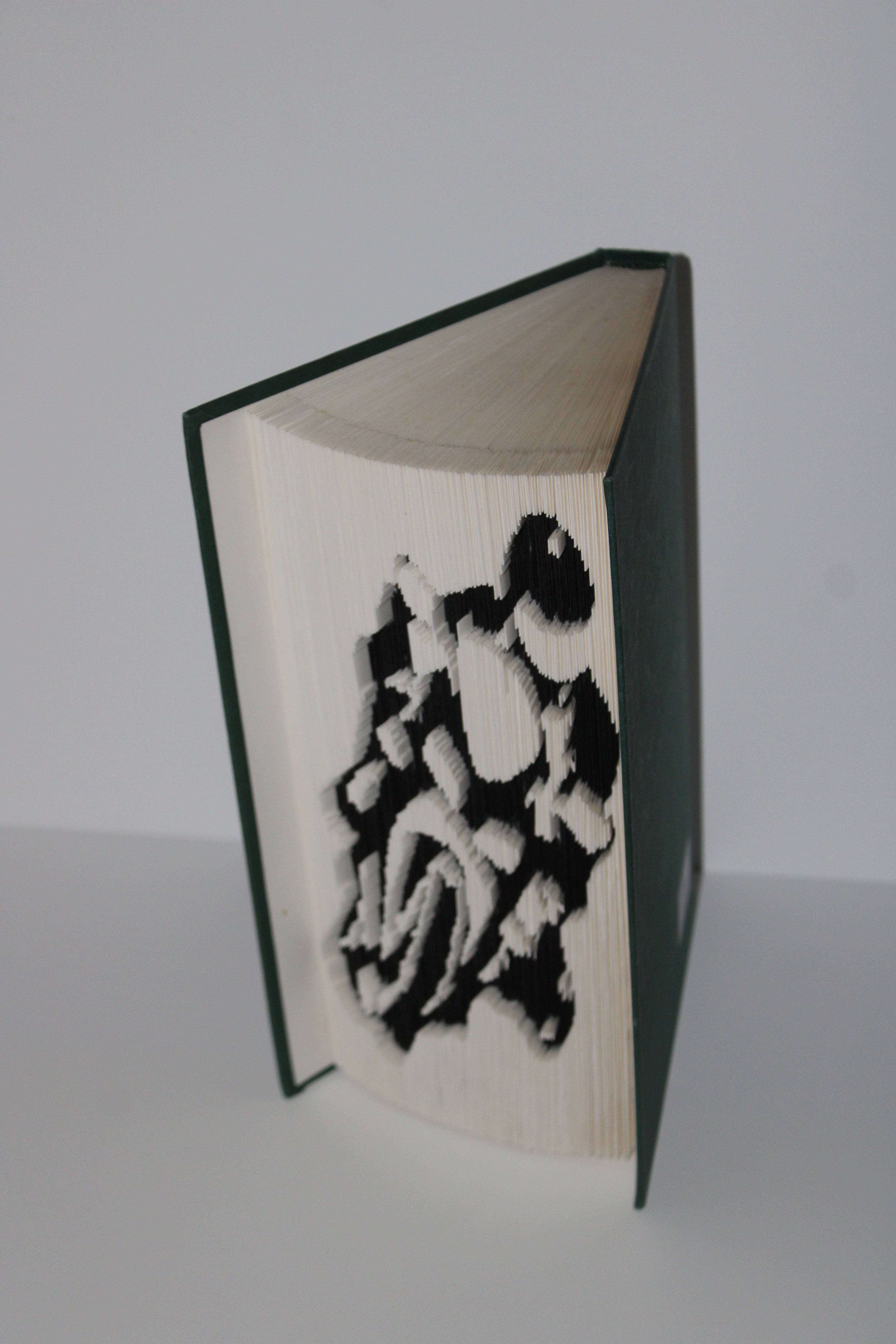 Livre motard