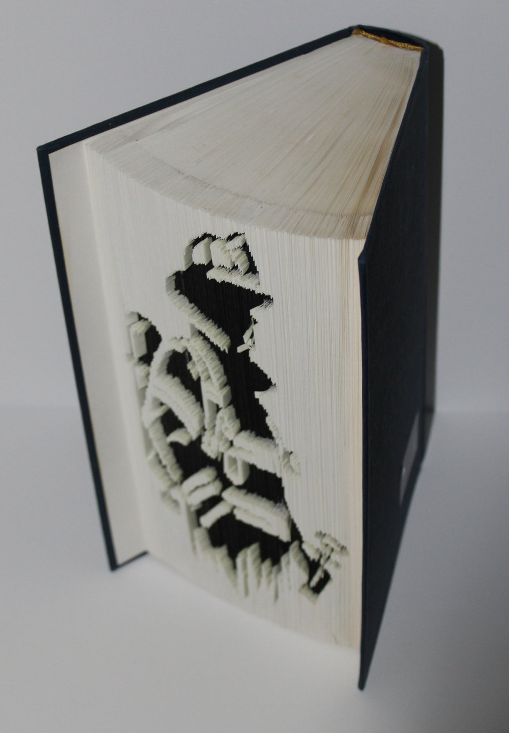 Livre pompier