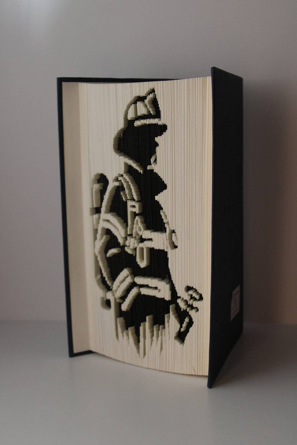 Livre pompier