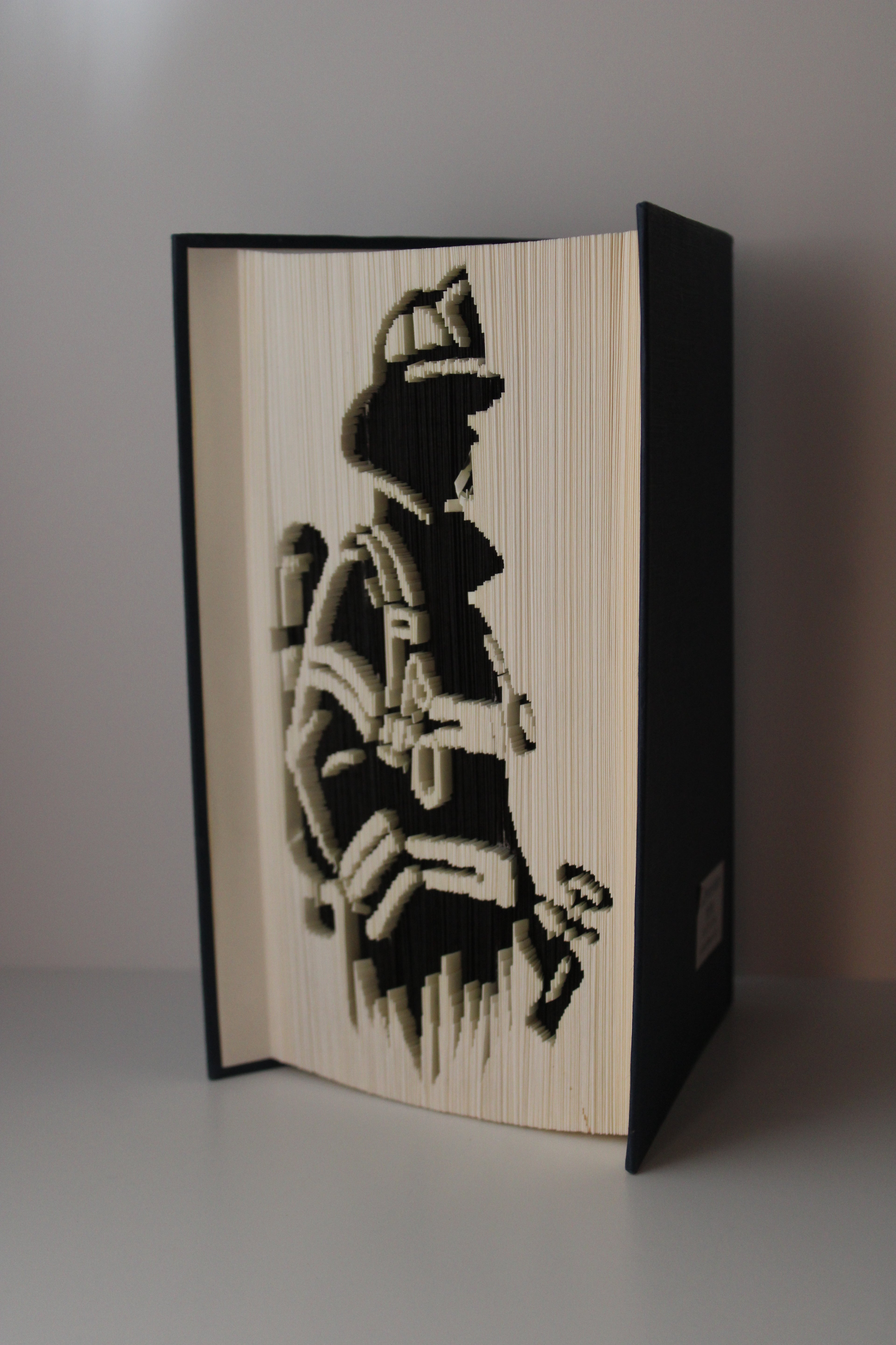 Livre pompier