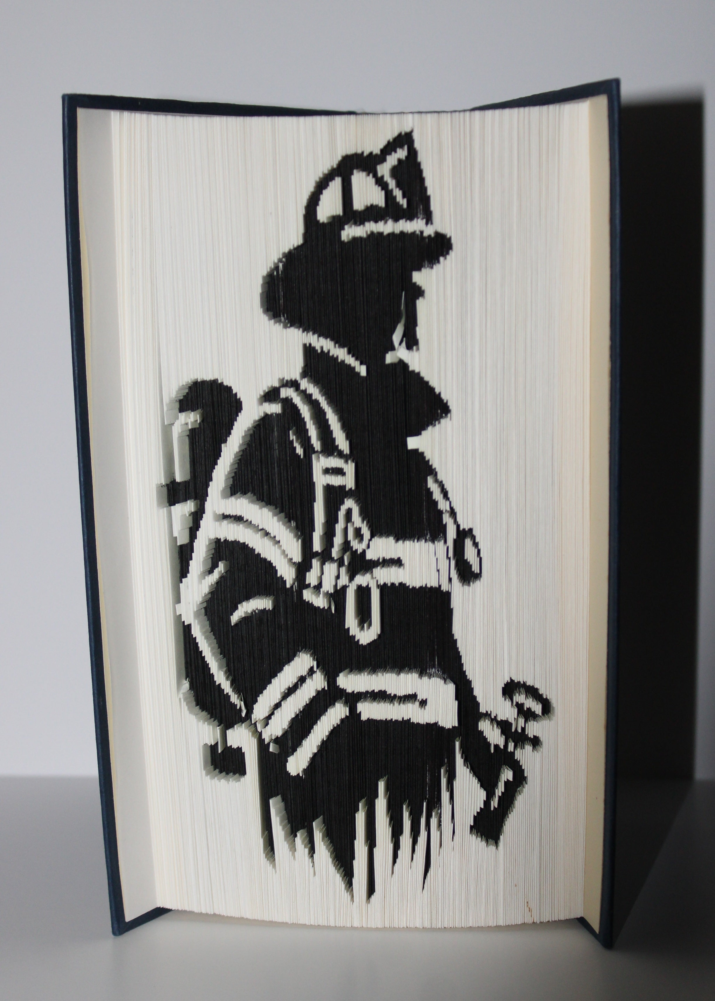 Livre pompier