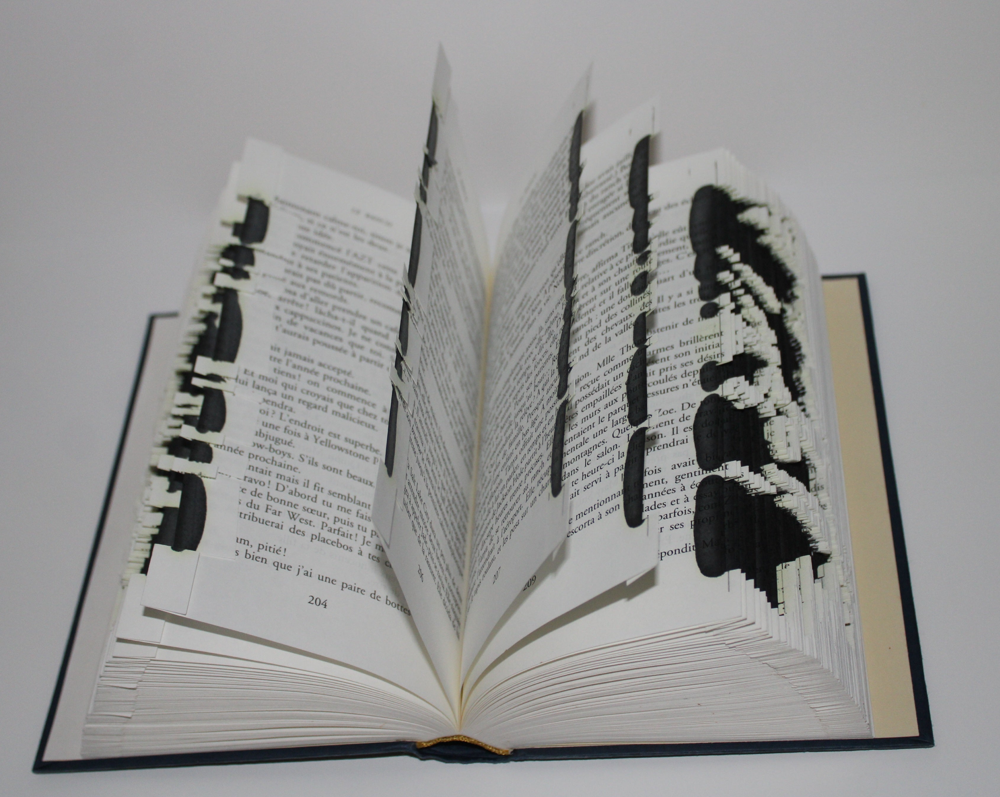 Livre pompier