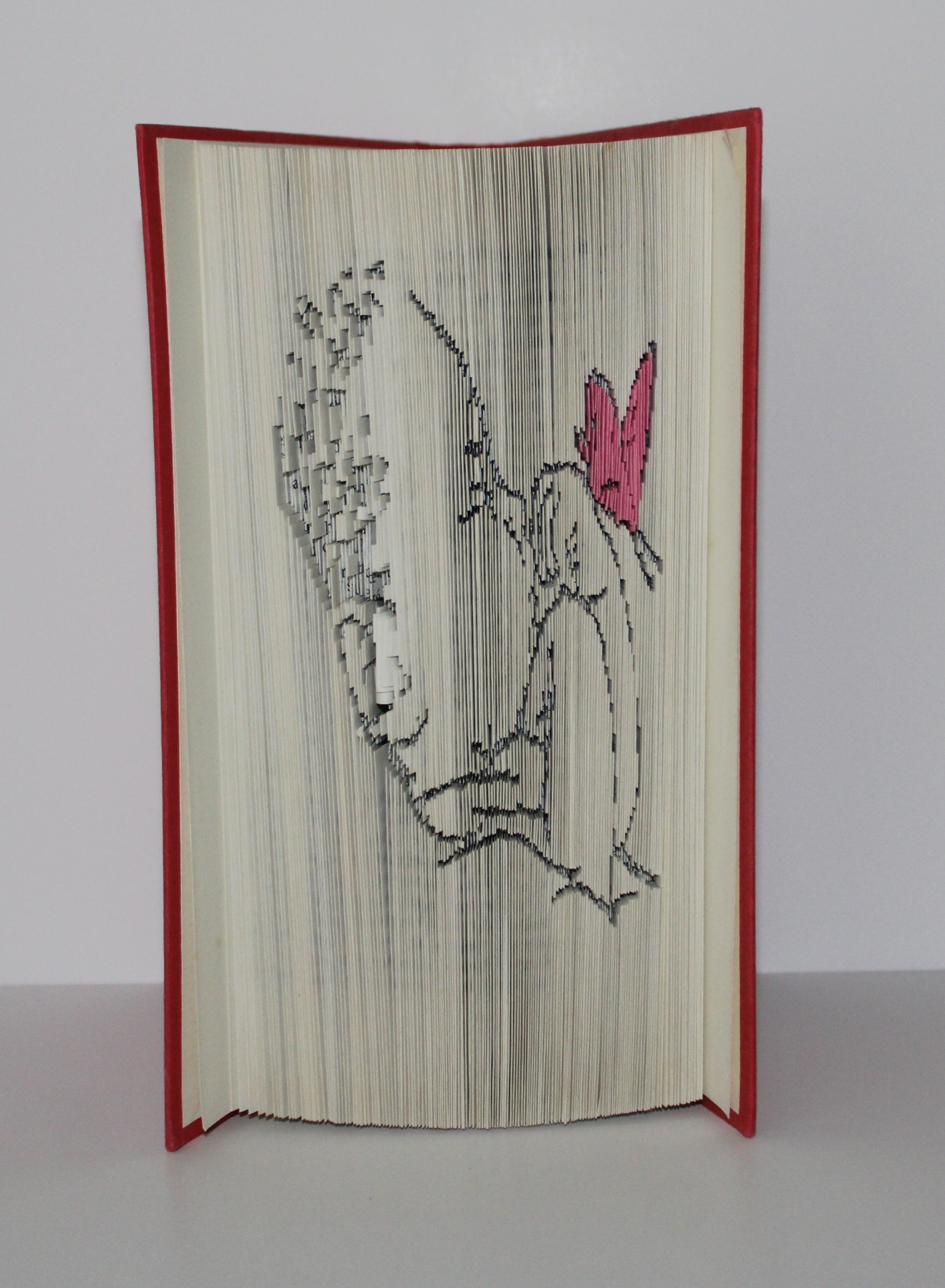 Livre bébé papillon rose