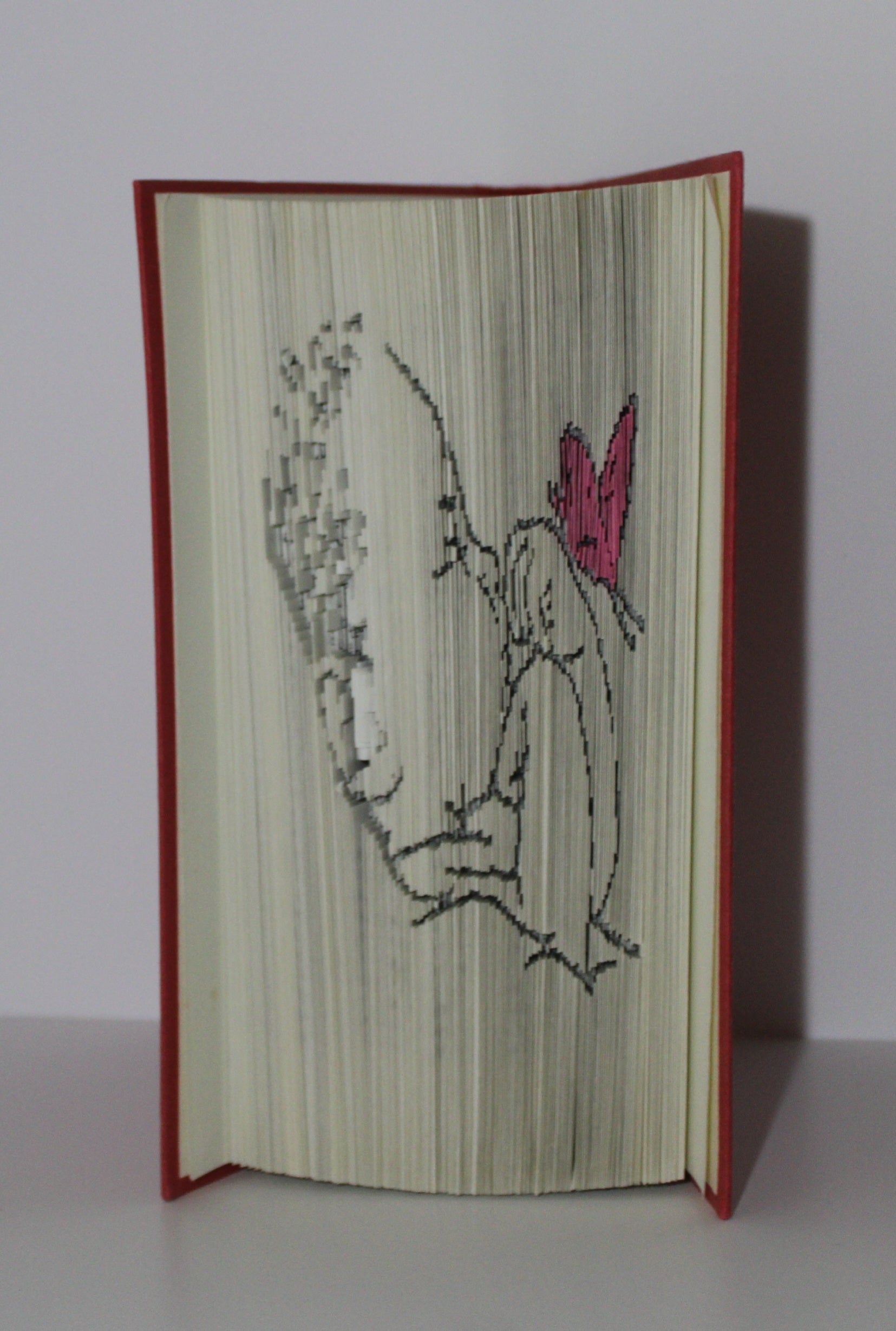 Livre bébé papillon rose