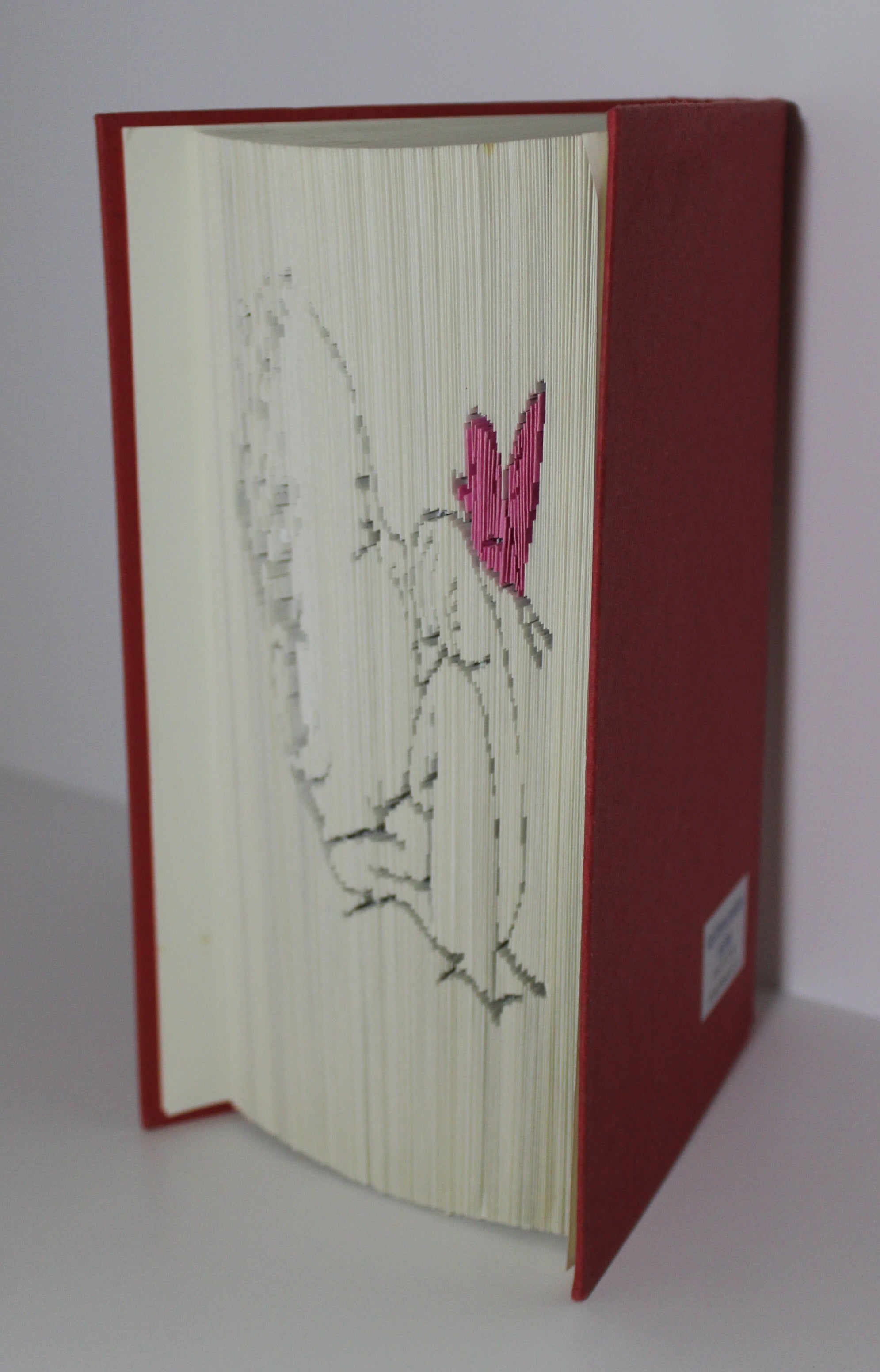 Livre bébé papillon rose