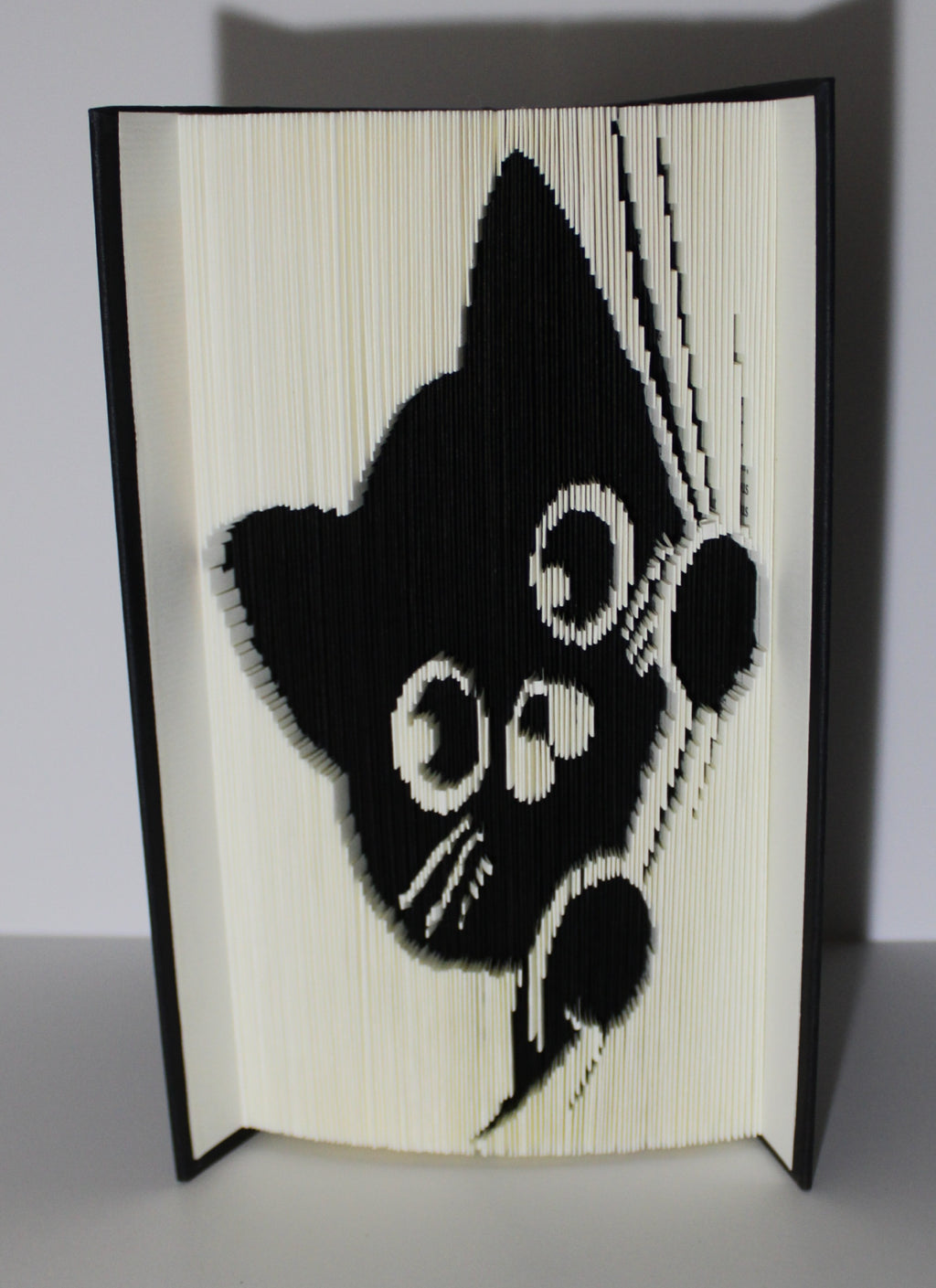 Livre chat rideau