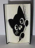 Livre chat rideau