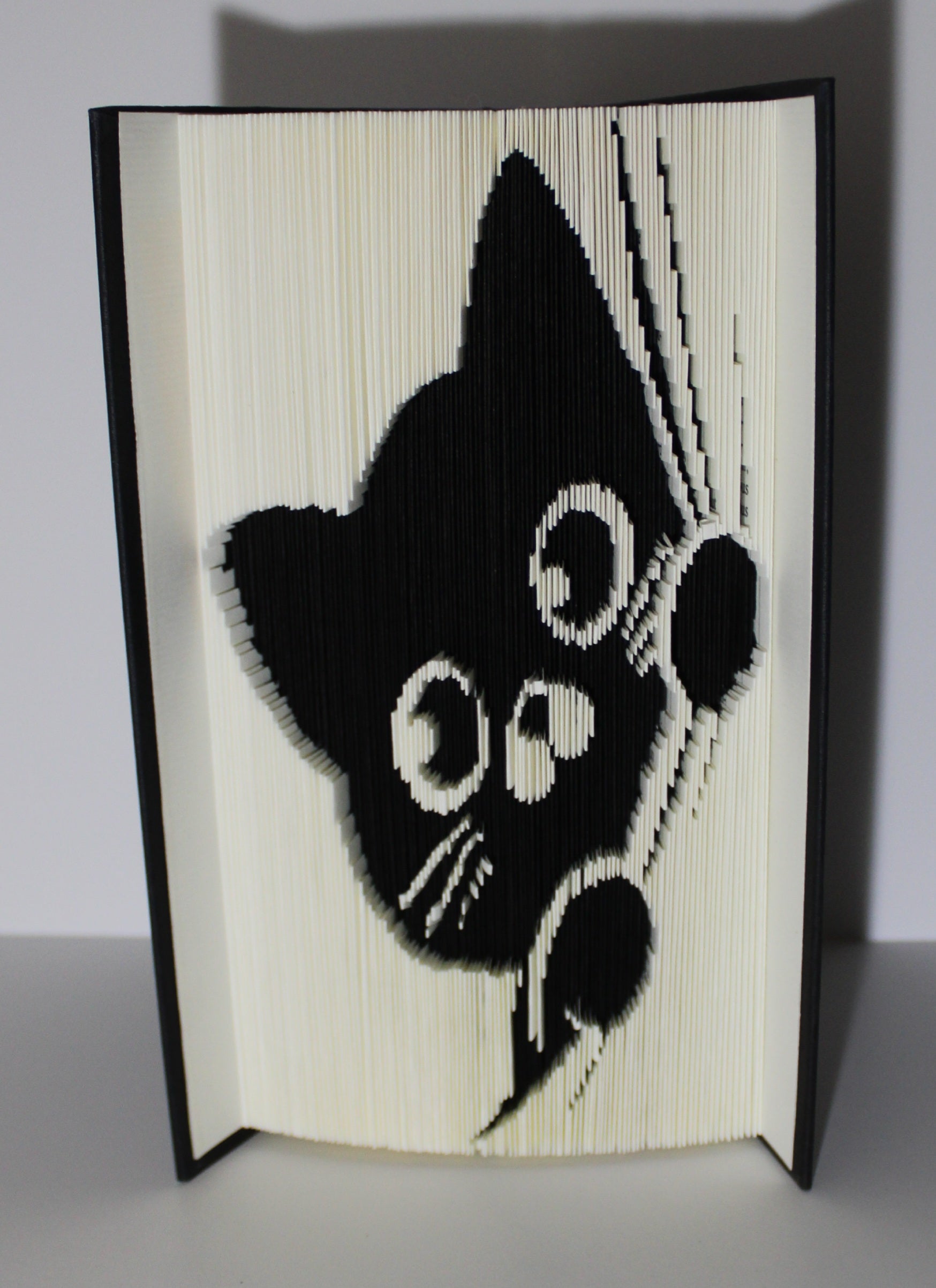 Livre chat rideau