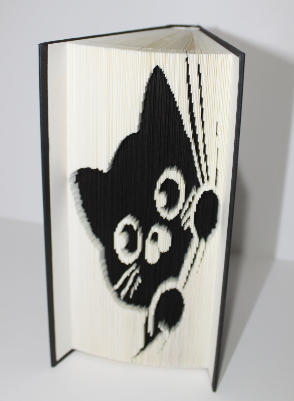 Livre chat rideau