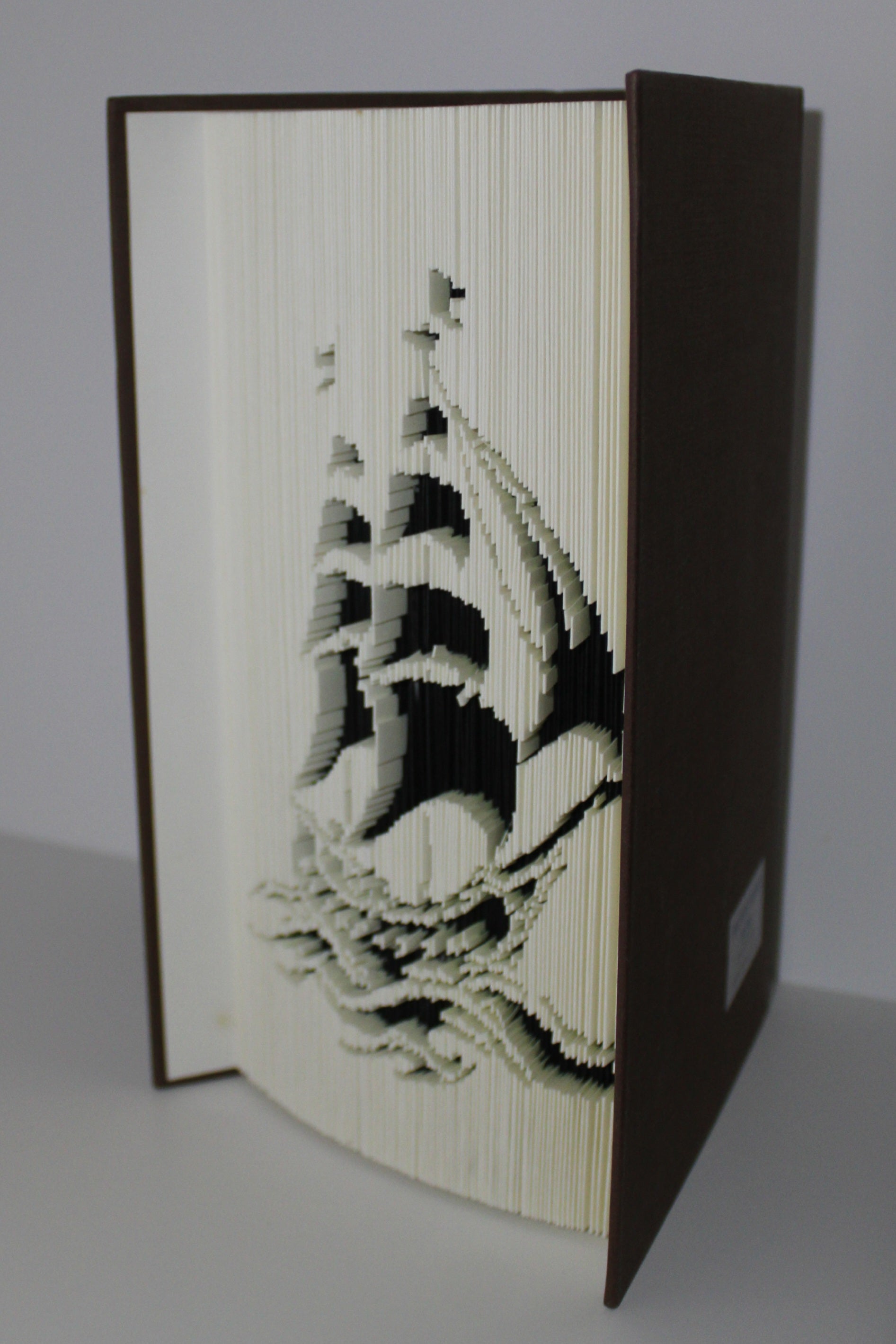 Livre voilier