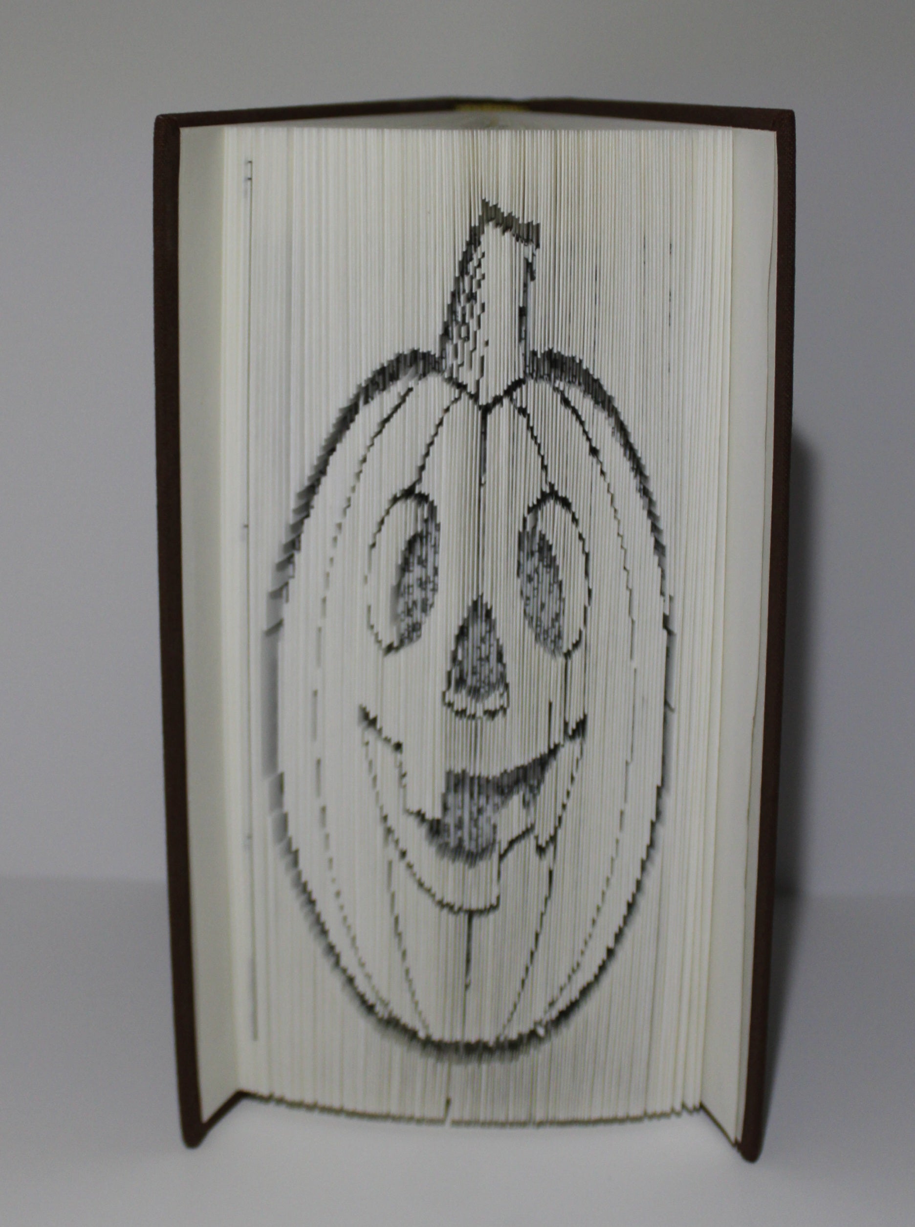 Livre citrouille