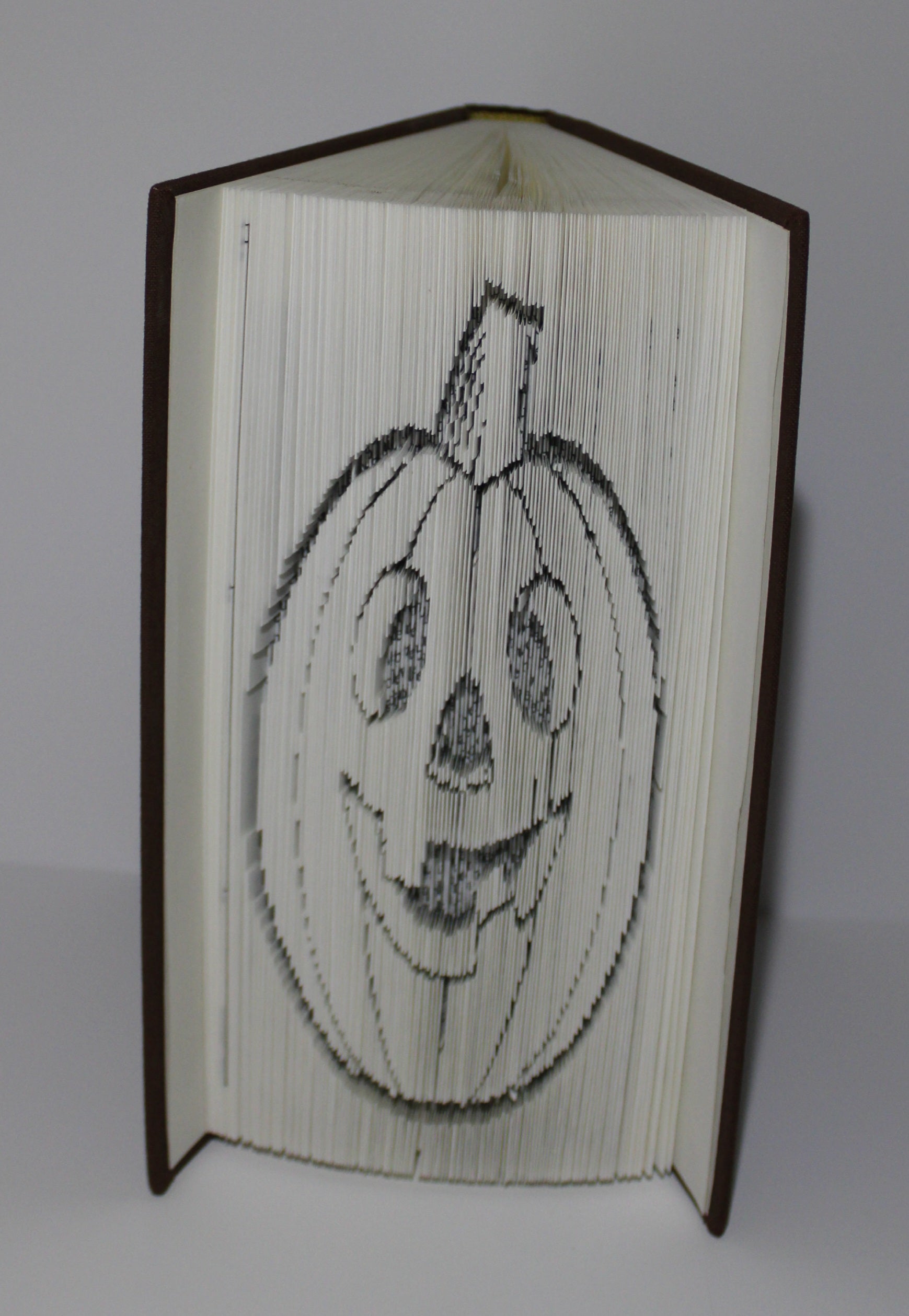 Livre citrouille