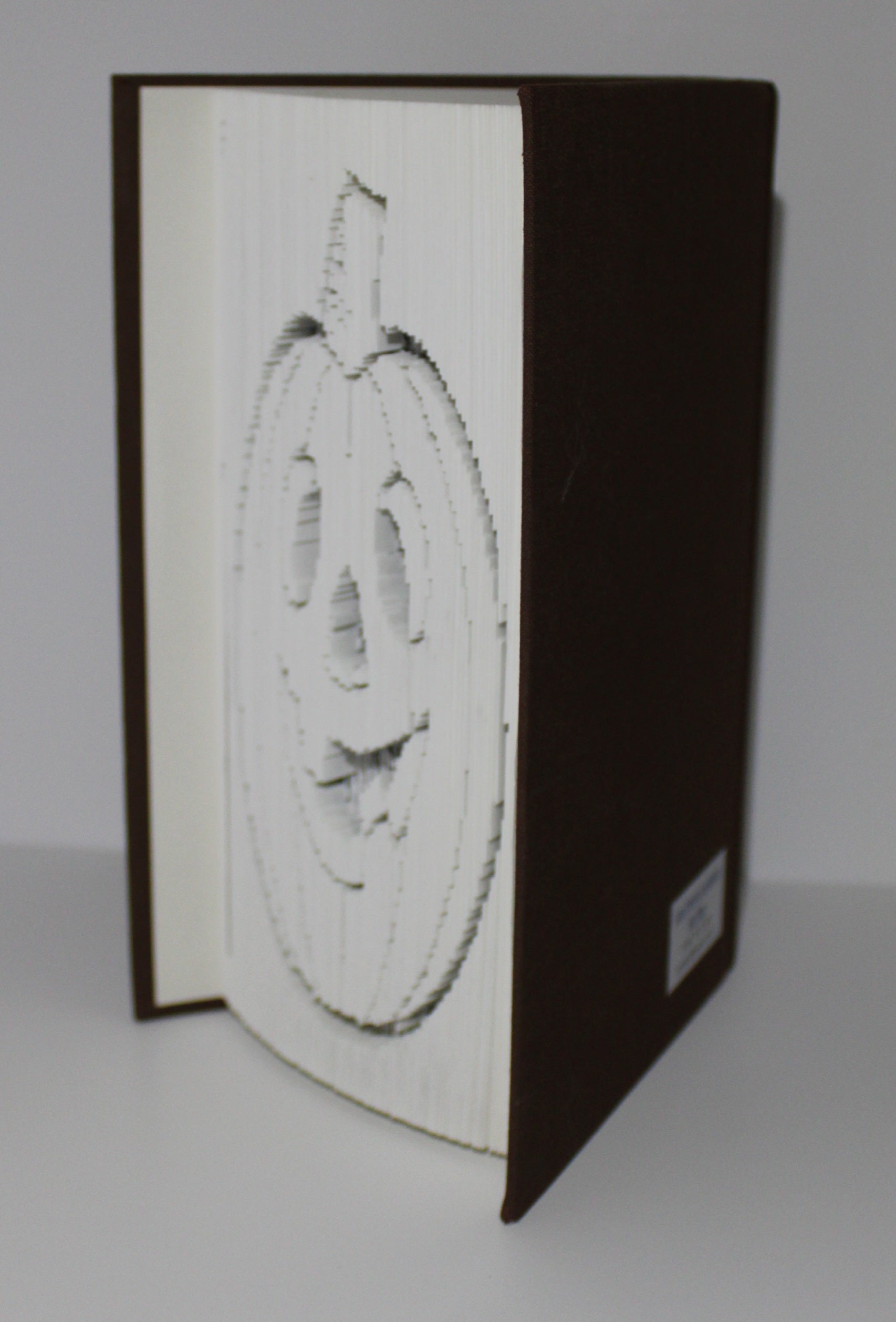 Livre citrouille