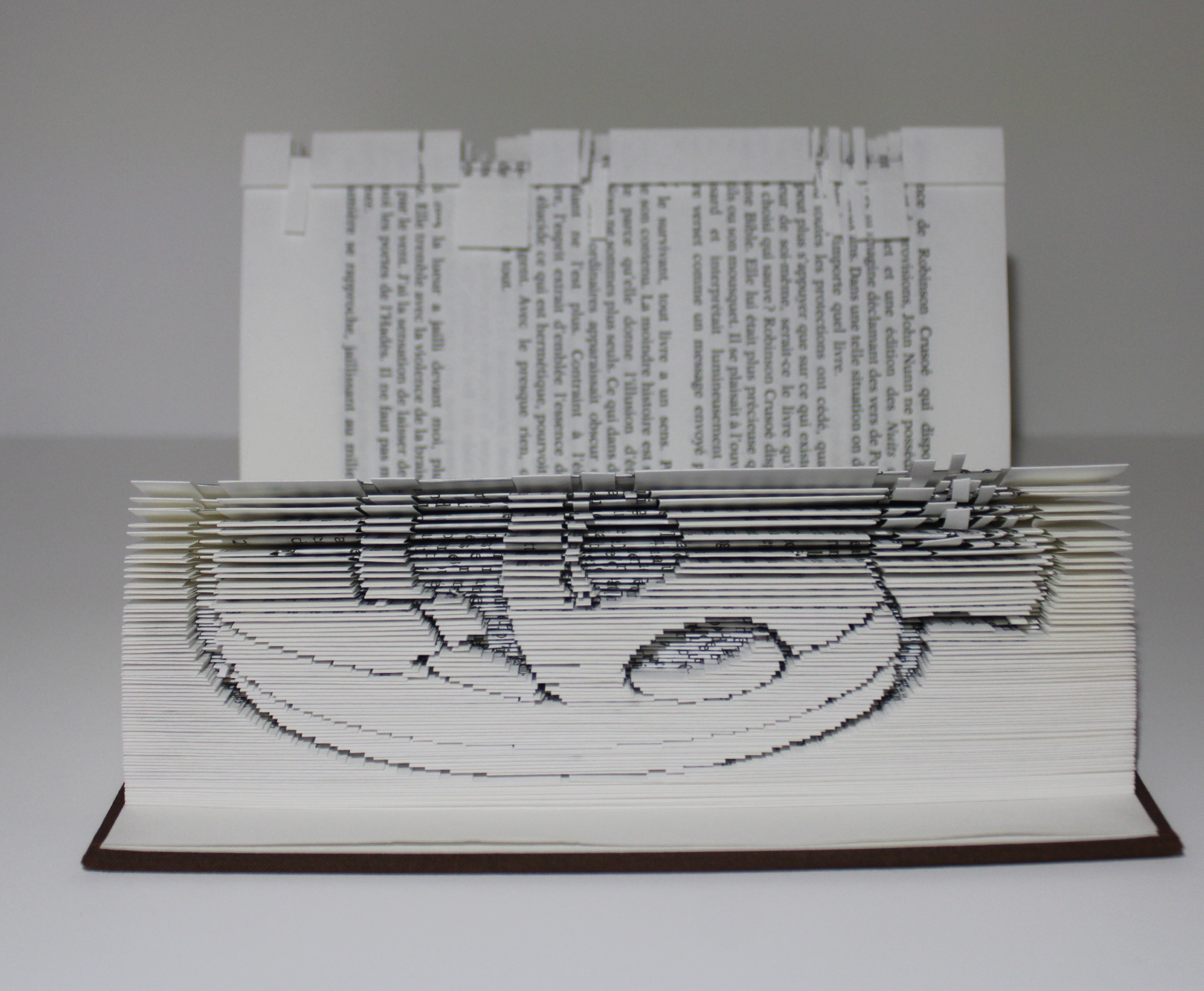 Livre citrouille