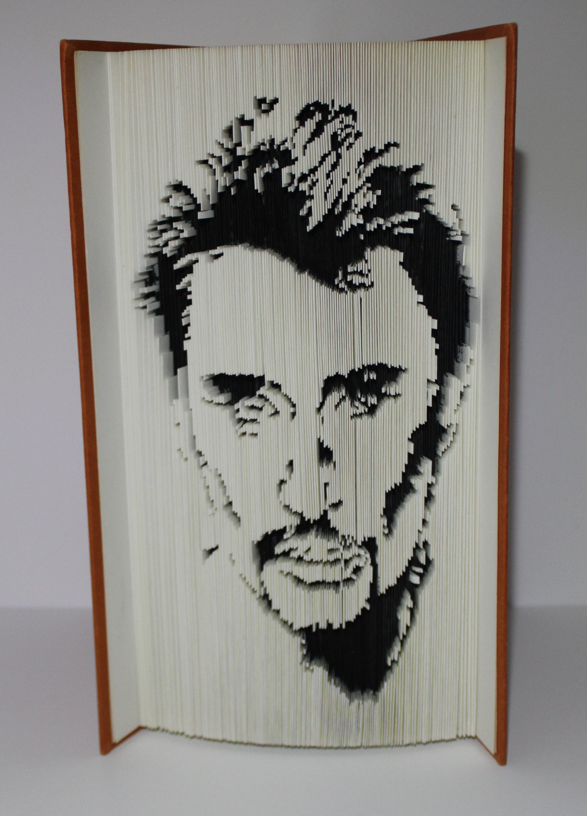 Livre Johnny