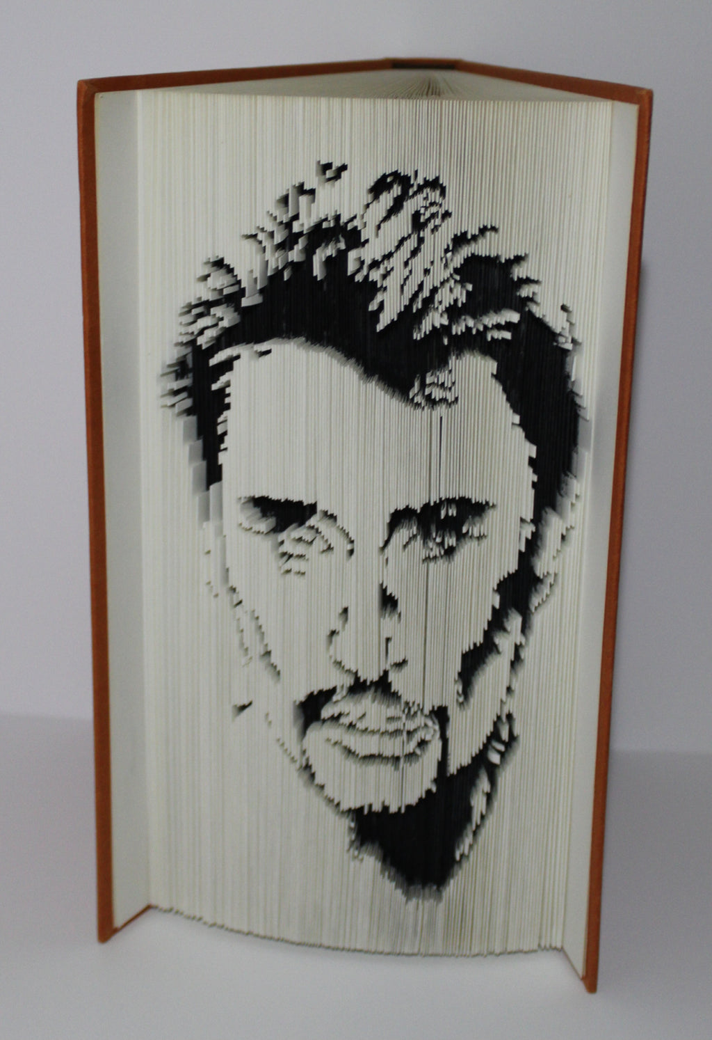 Livre Johnny