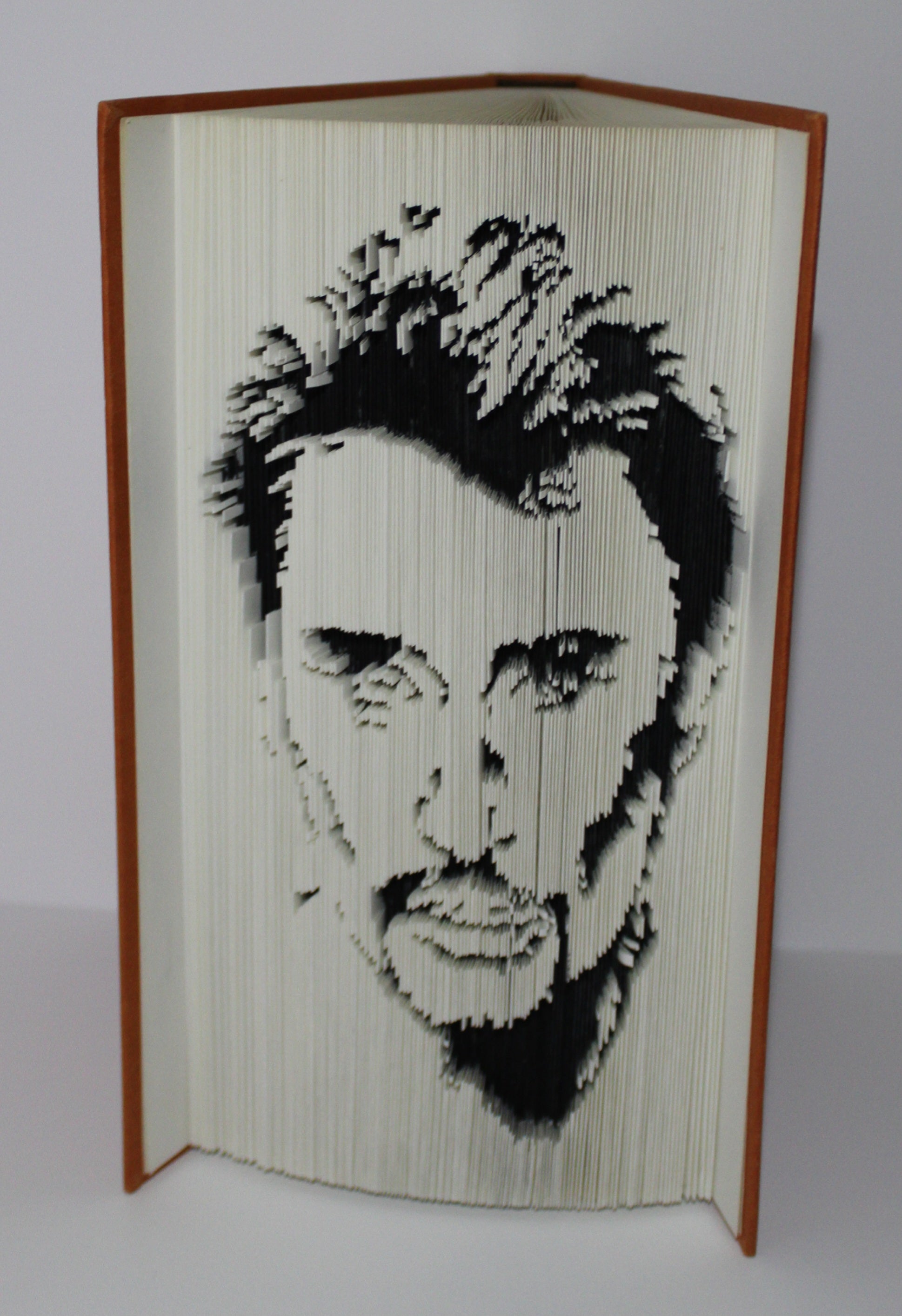 Livre Johnny