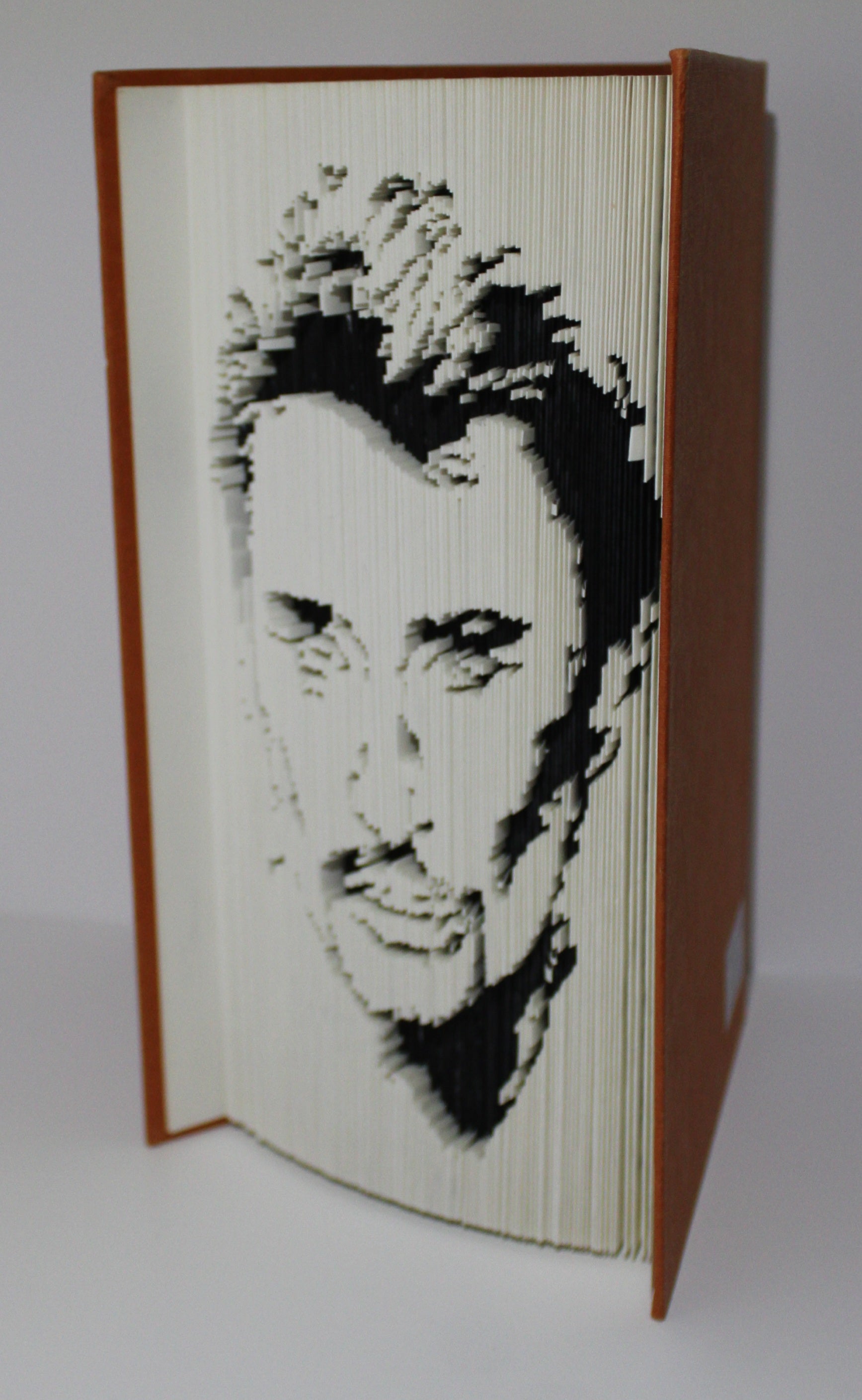 Livre Johnny