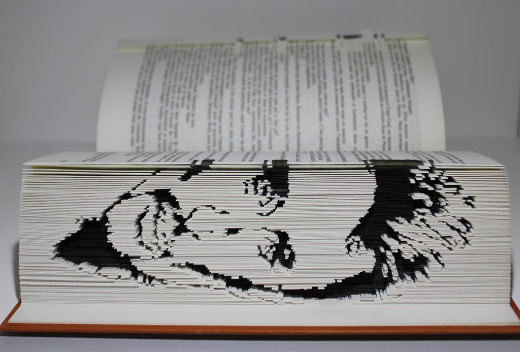 Livre Johnny