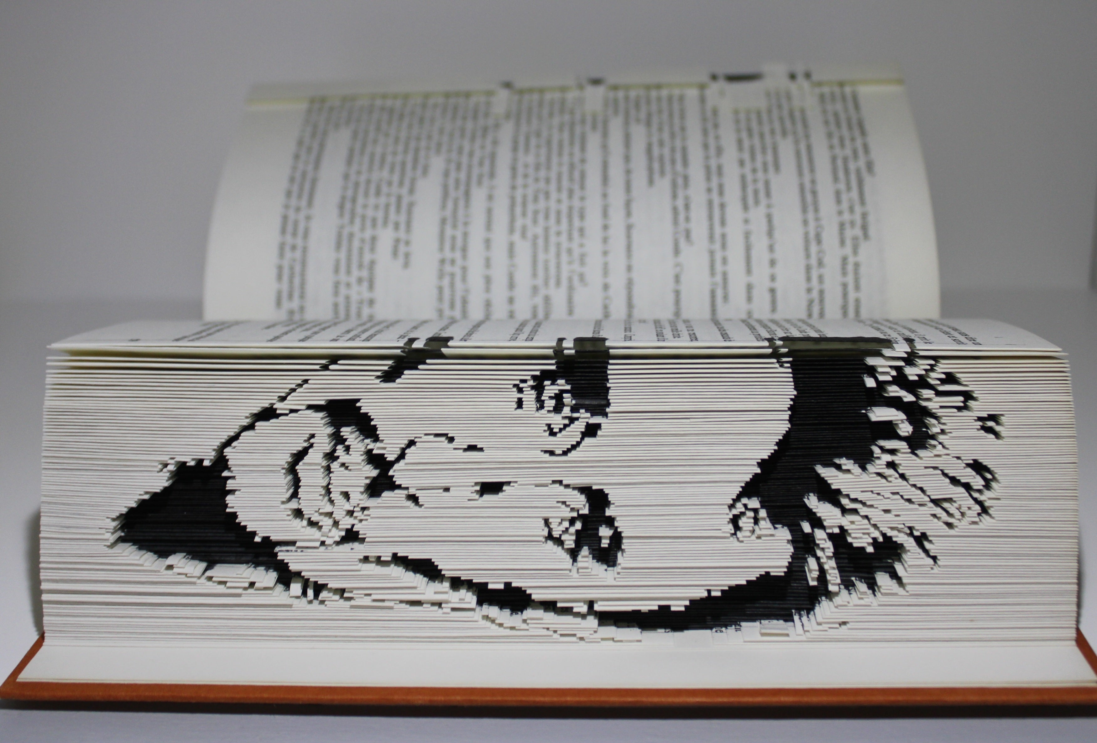 Livre Johnny