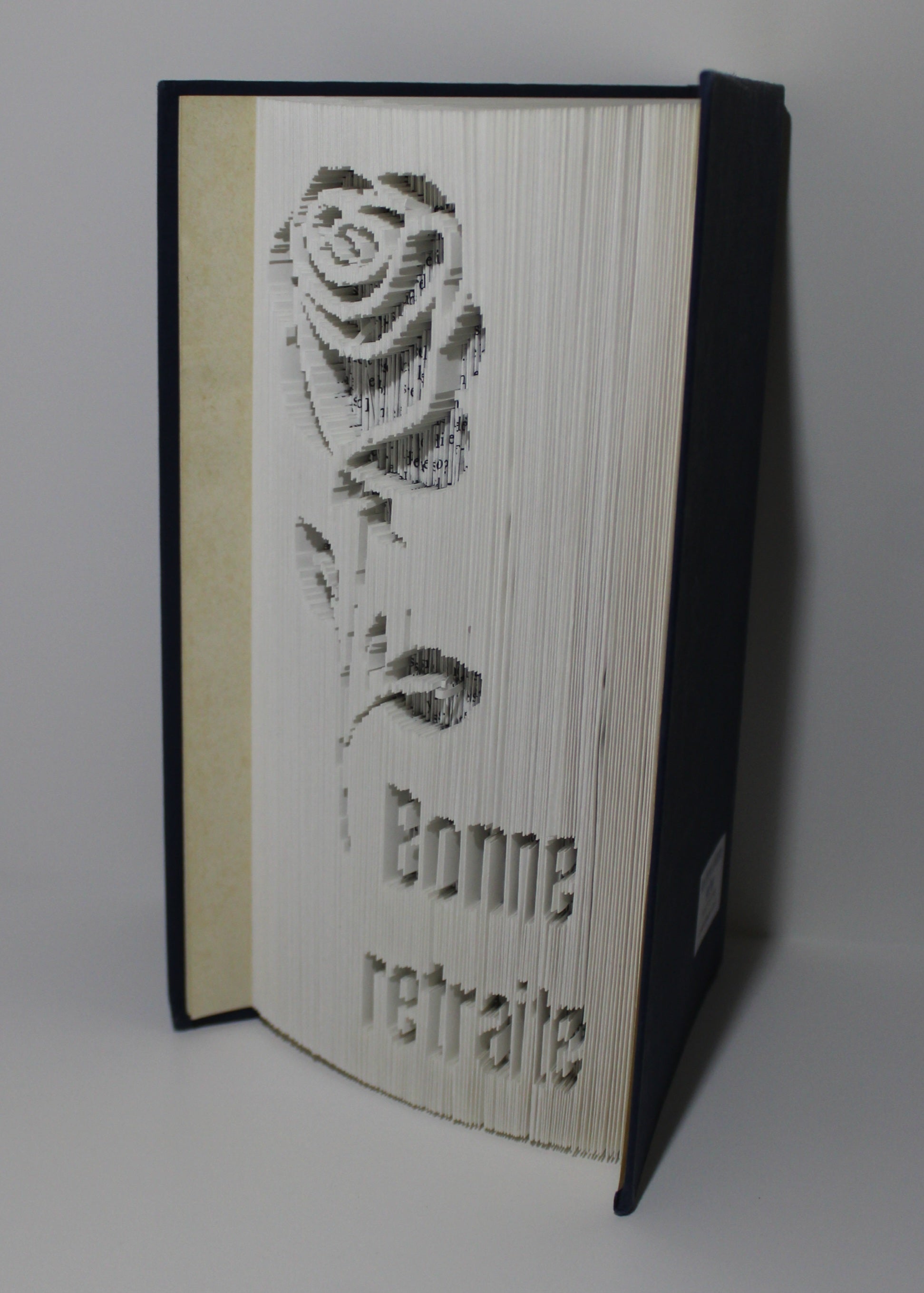 Livre bonne retraite rose