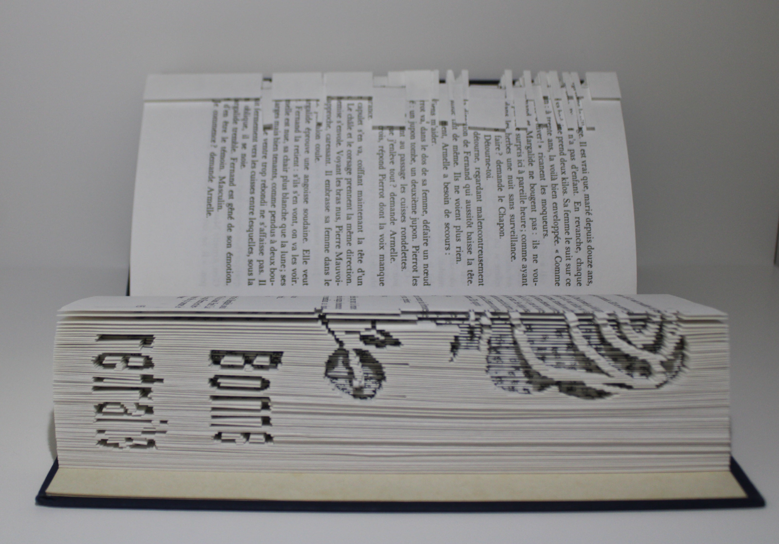 Livre bonne retraite rose