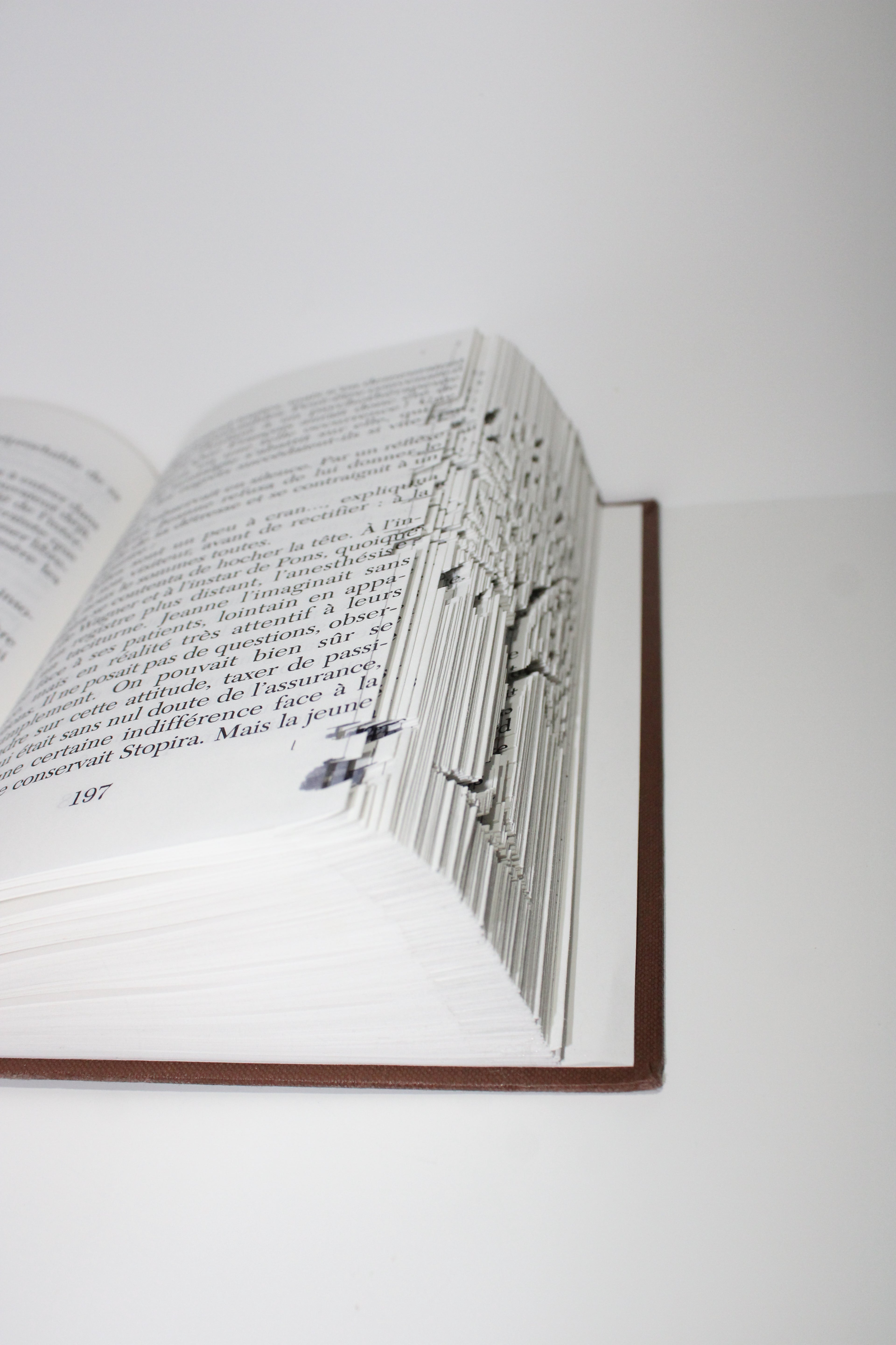 Livre arbre avec un chien et un chat