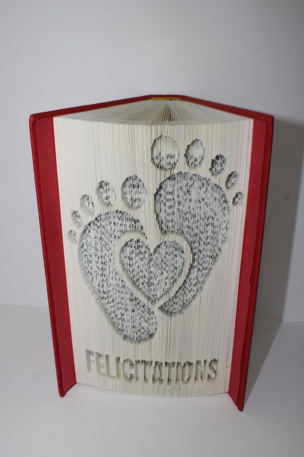 Livre pieds et coeur