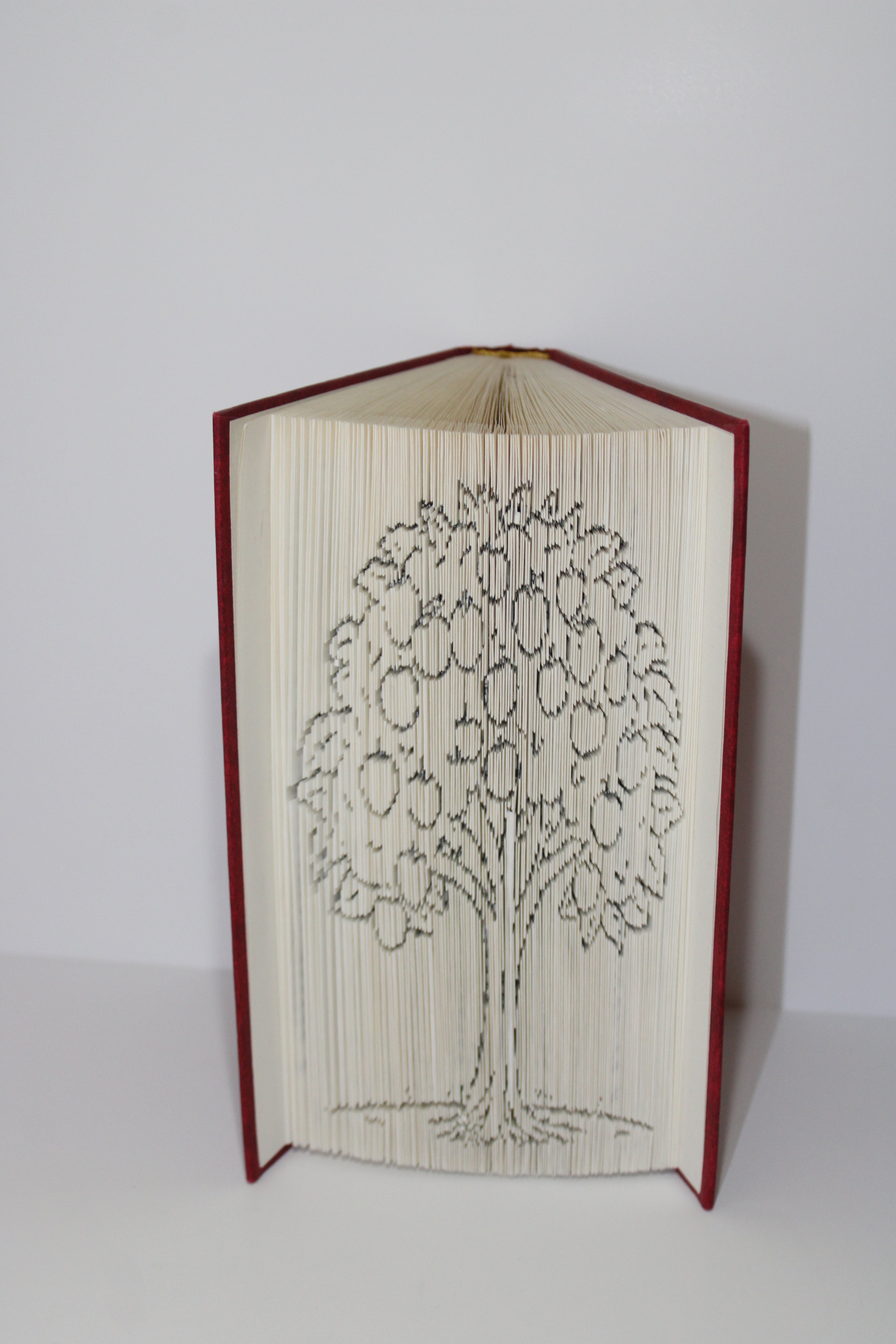 Livre pommiers