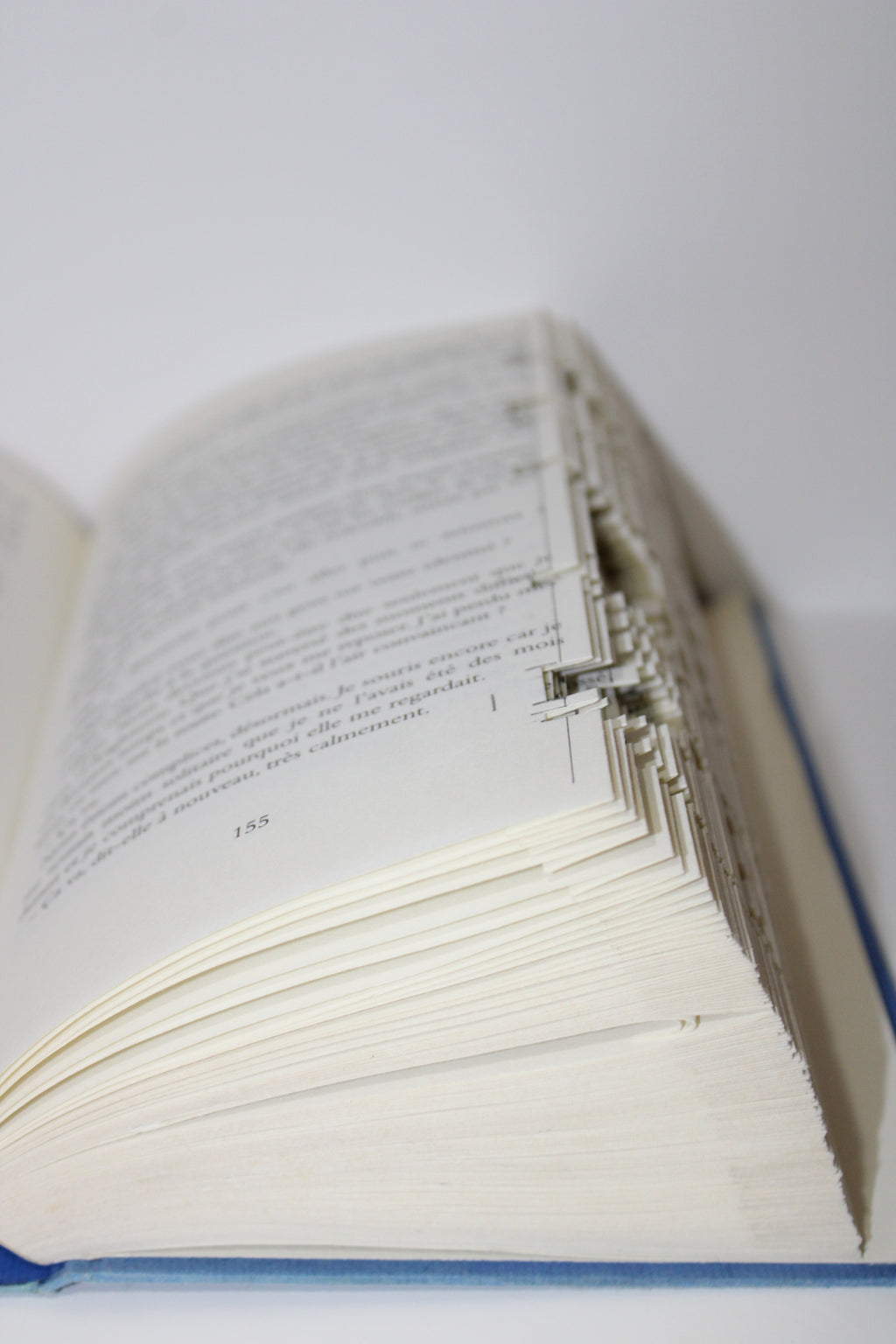 Livre fête des pères