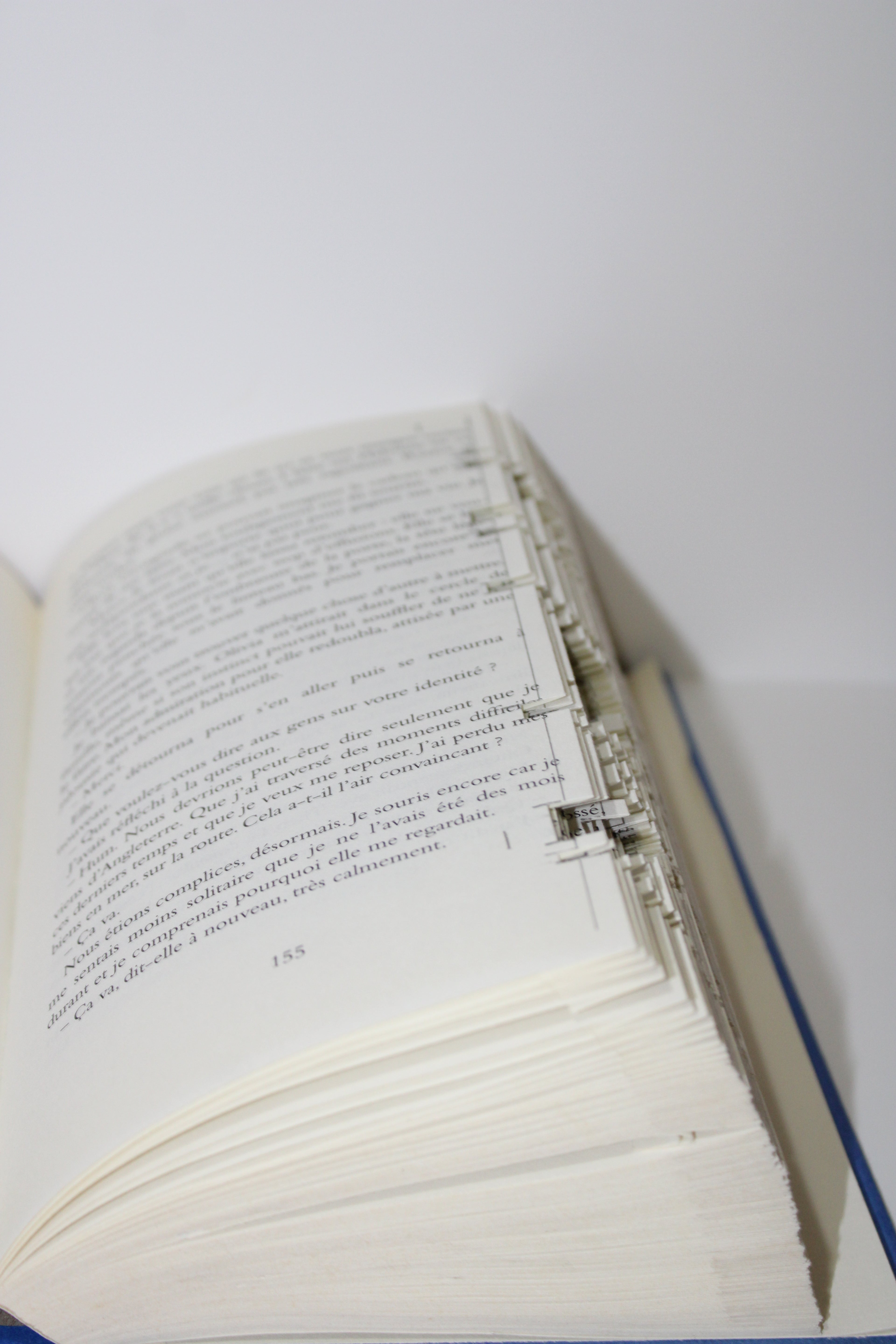 Livre fête des pères