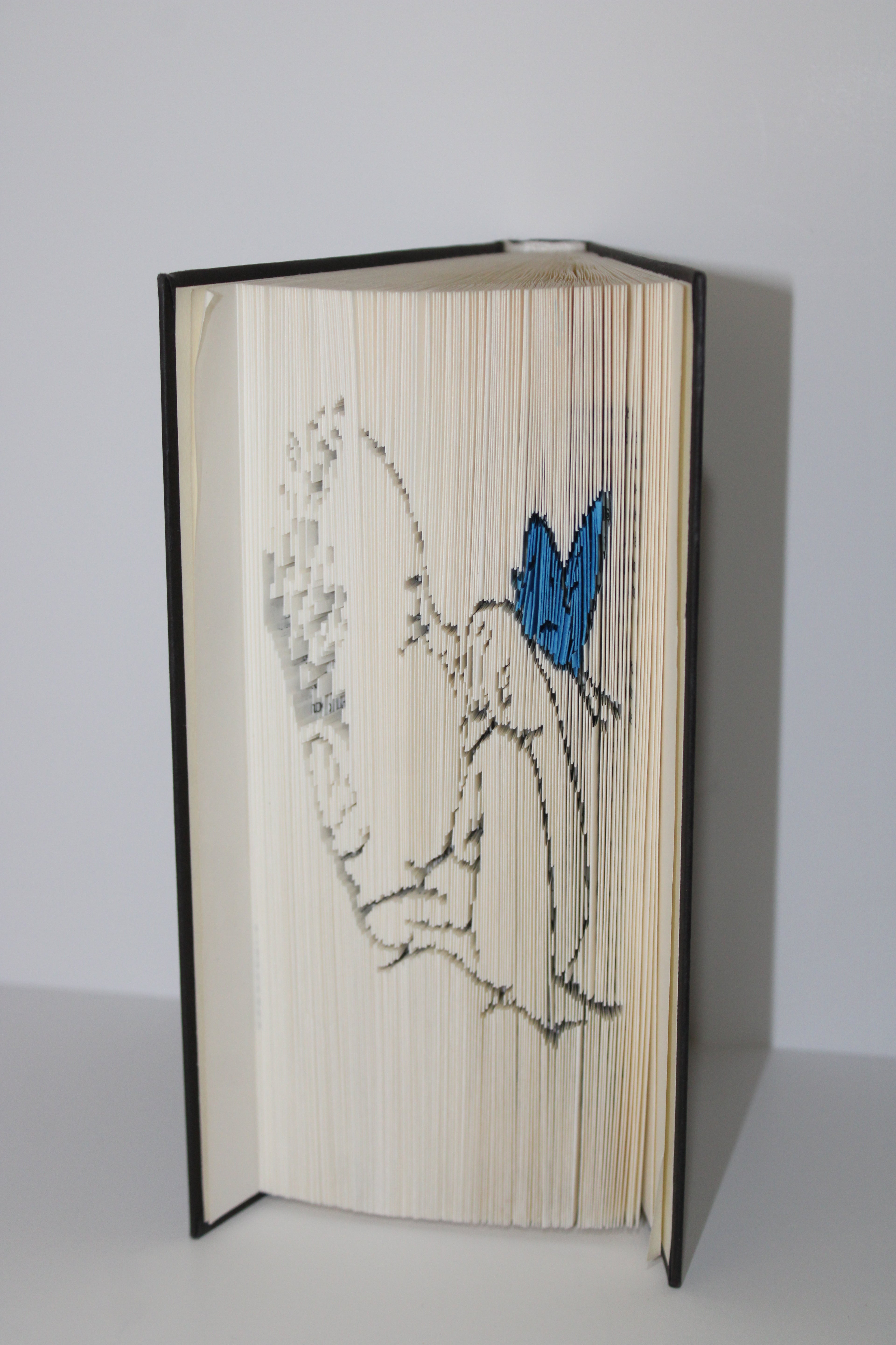 Livre bébé papillon bleu