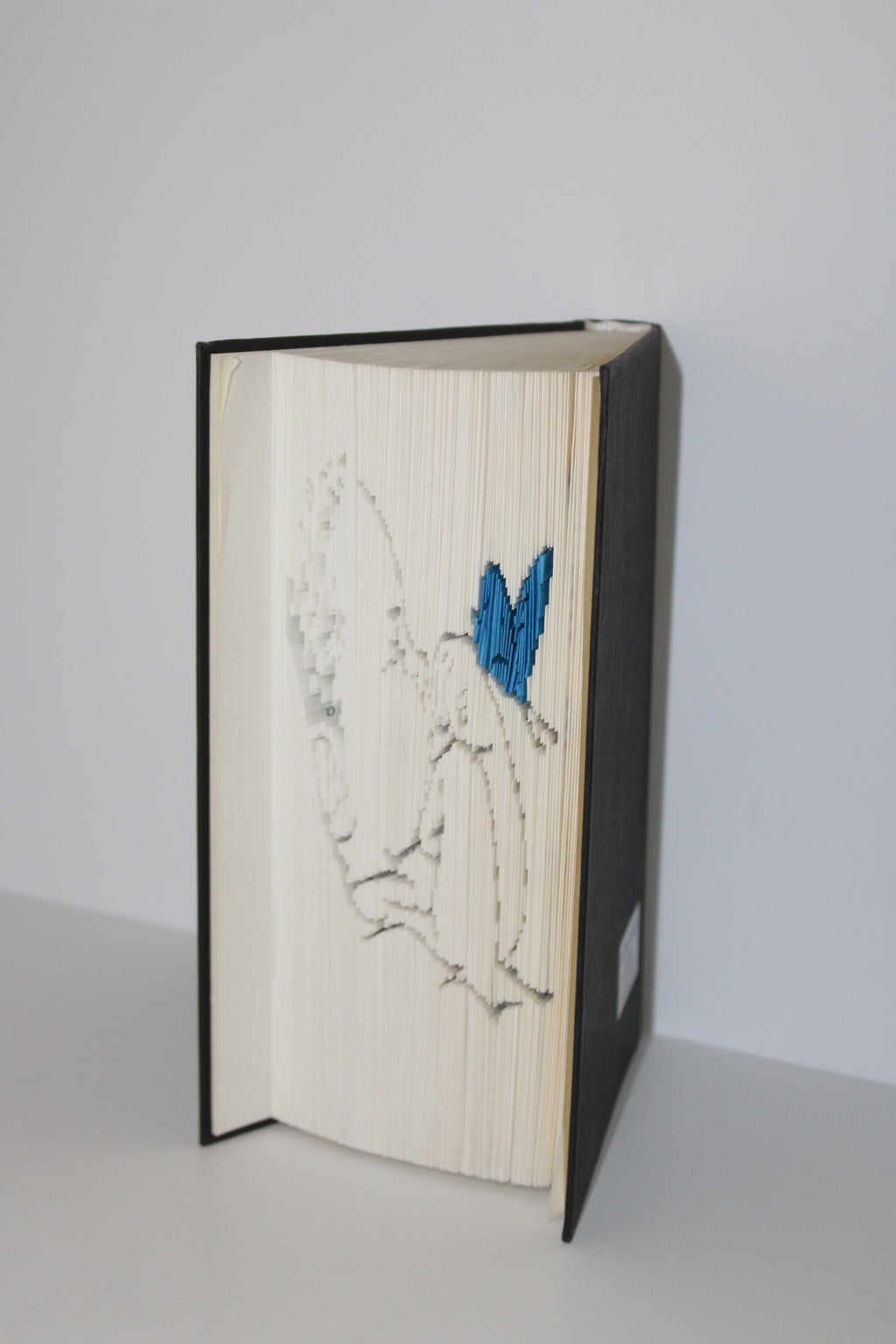 Livre bébé papillon bleu