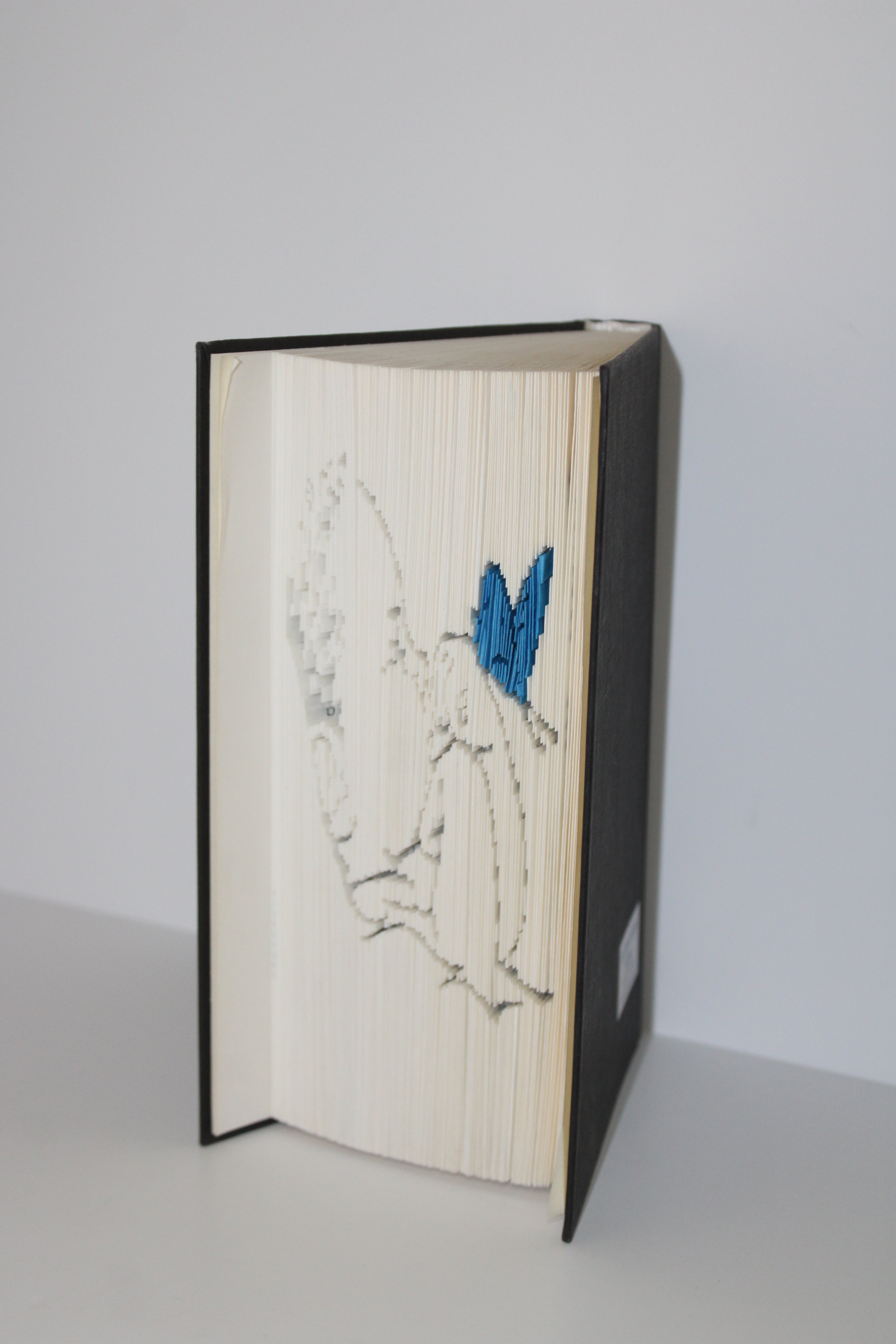 Livre bébé papillon bleu