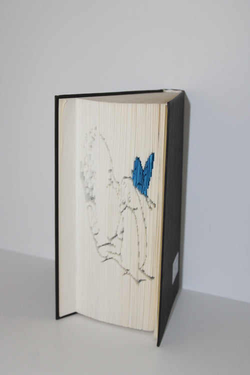 Livre bébé papillon bleu