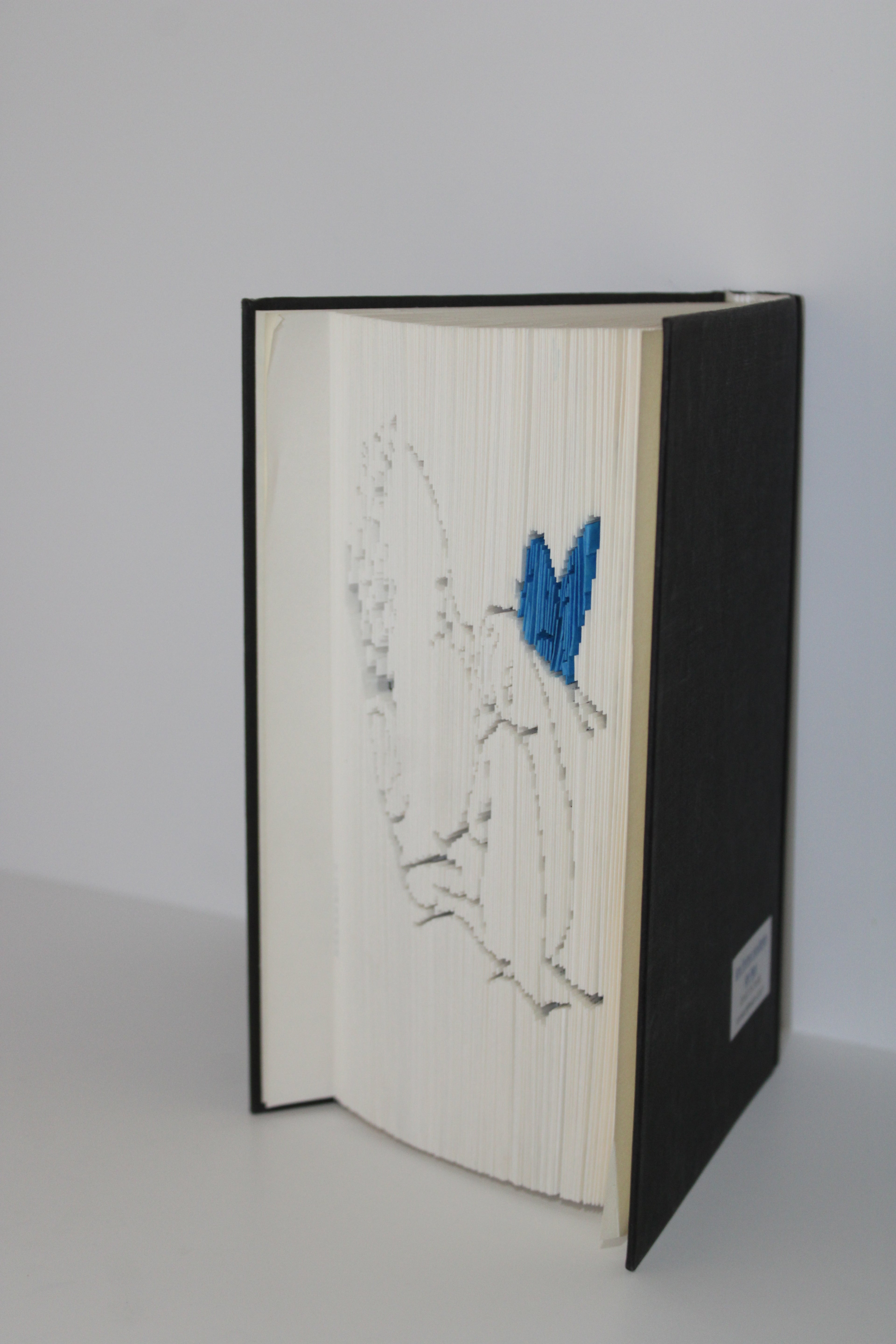 Livre bébé papillon bleu