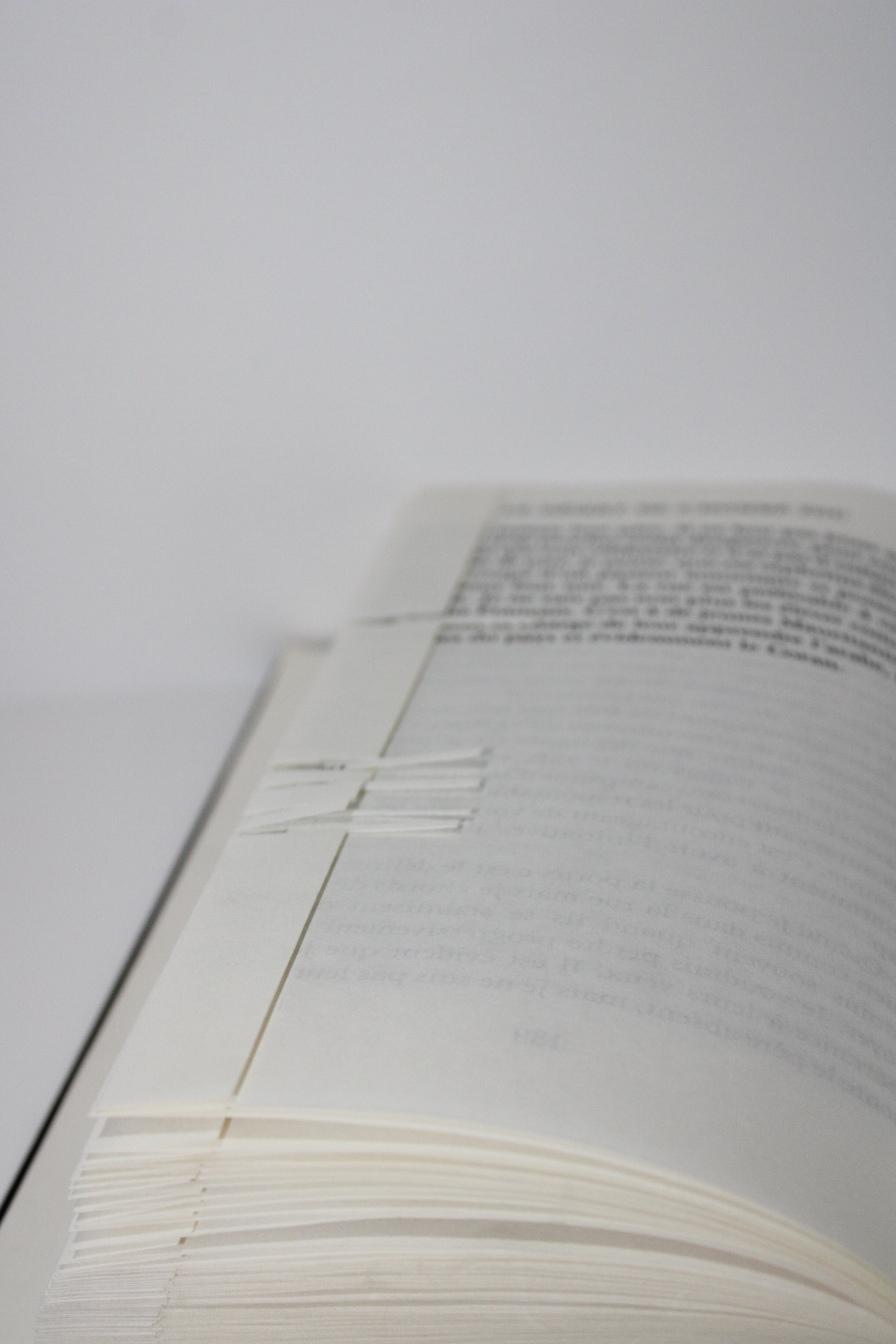 Livre bébé papillon bleu