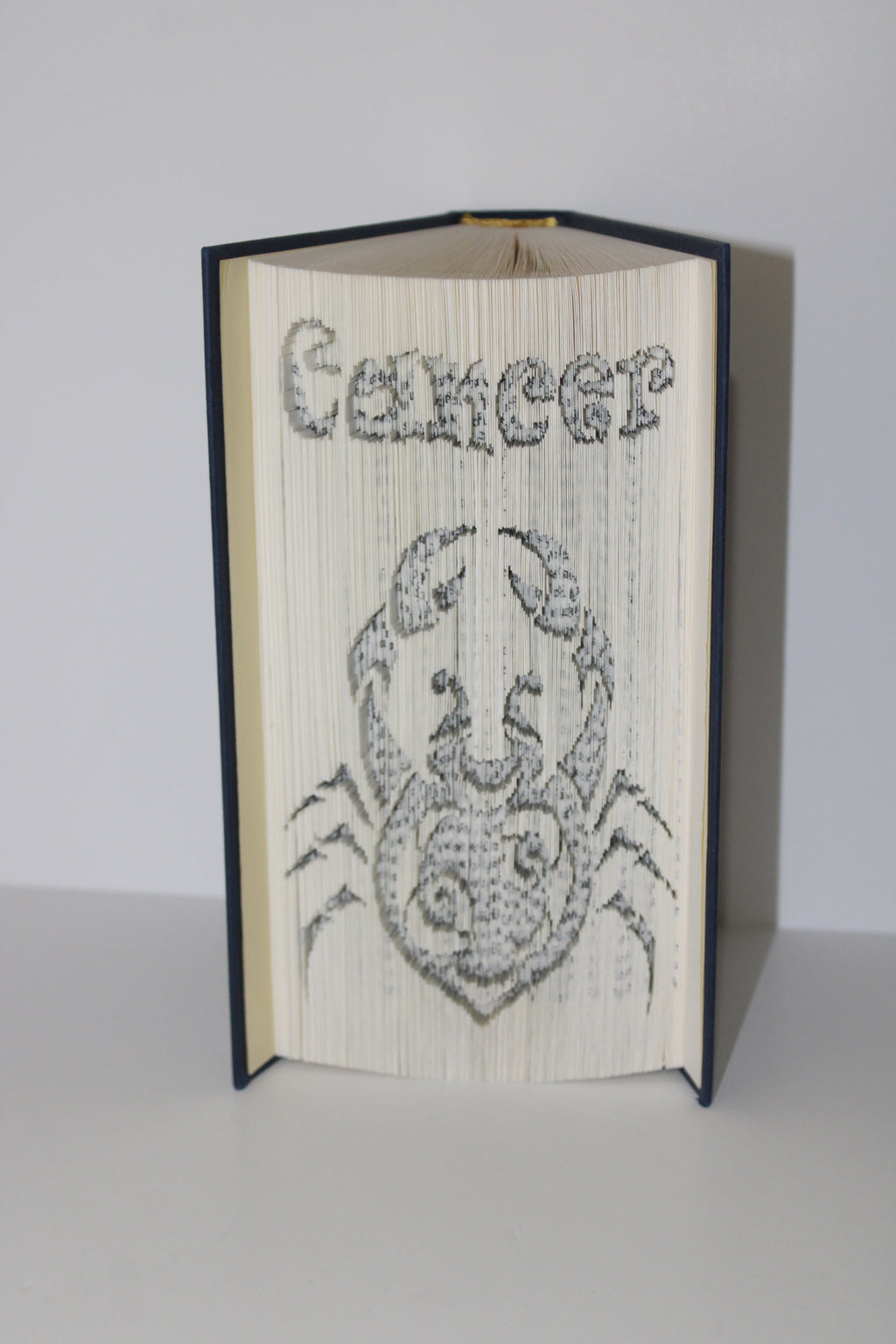 Livre signe astrologique Cancer