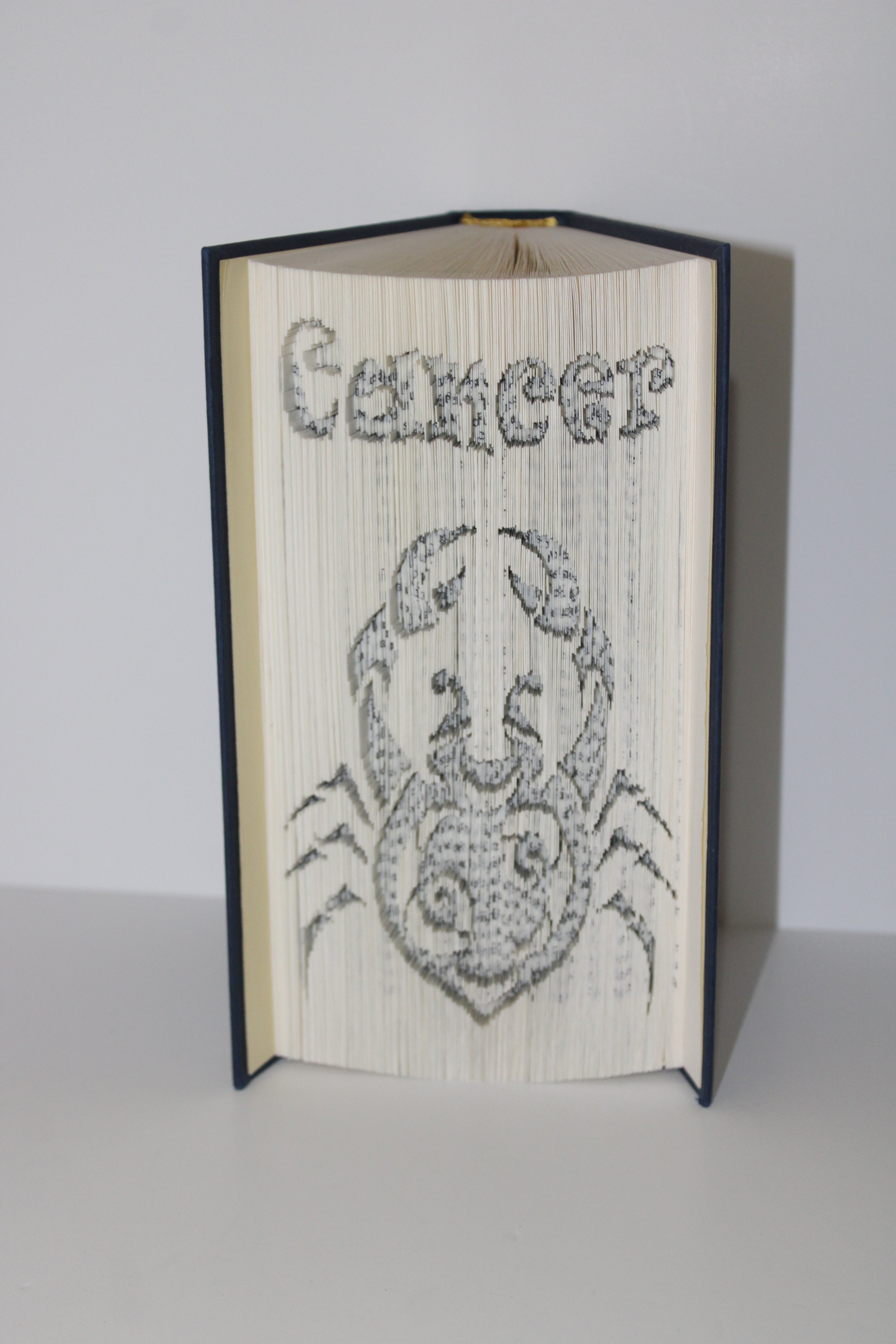 Livre signe astrologique Cancer