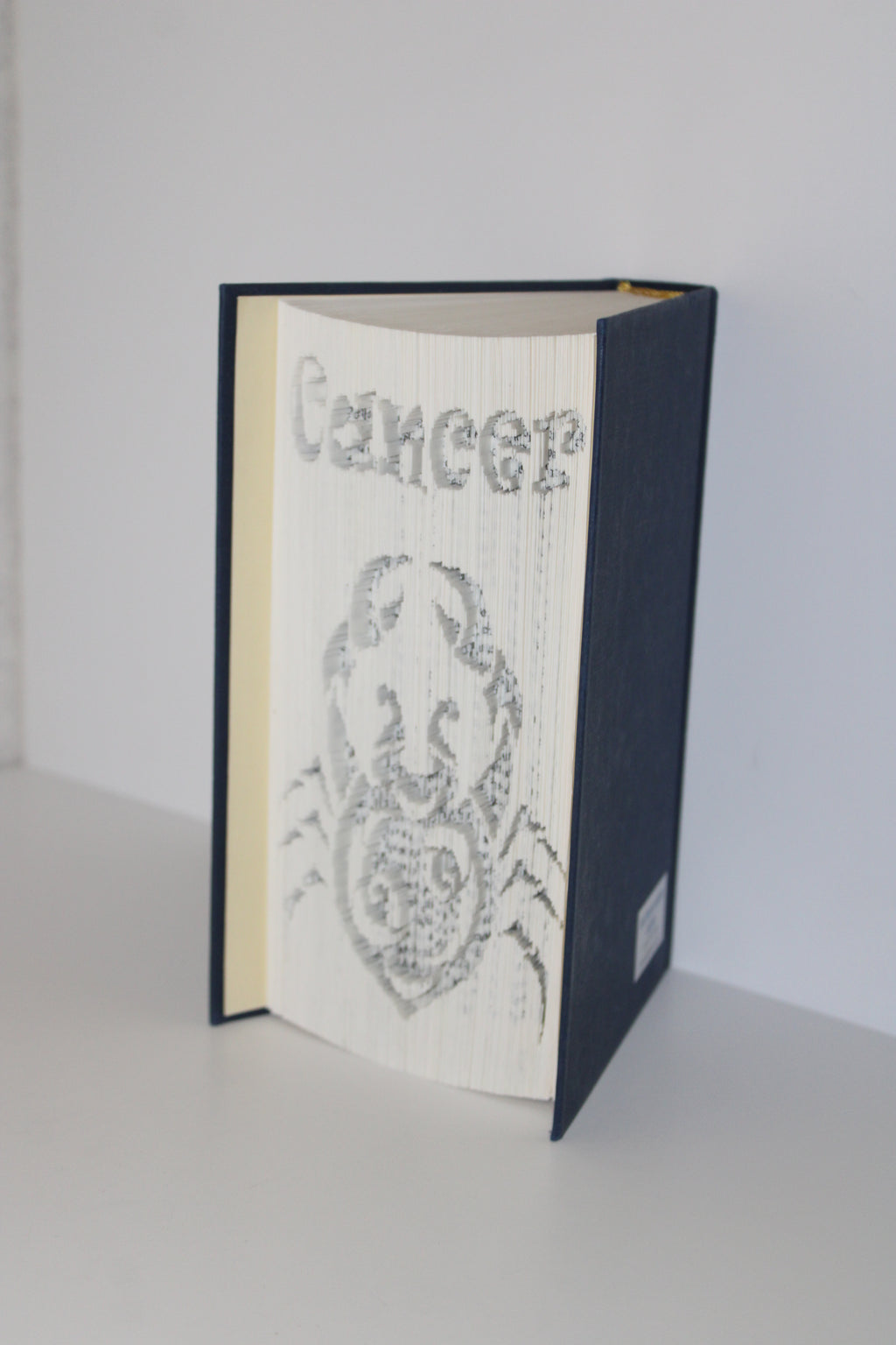 Livre signe astrologique Cancer