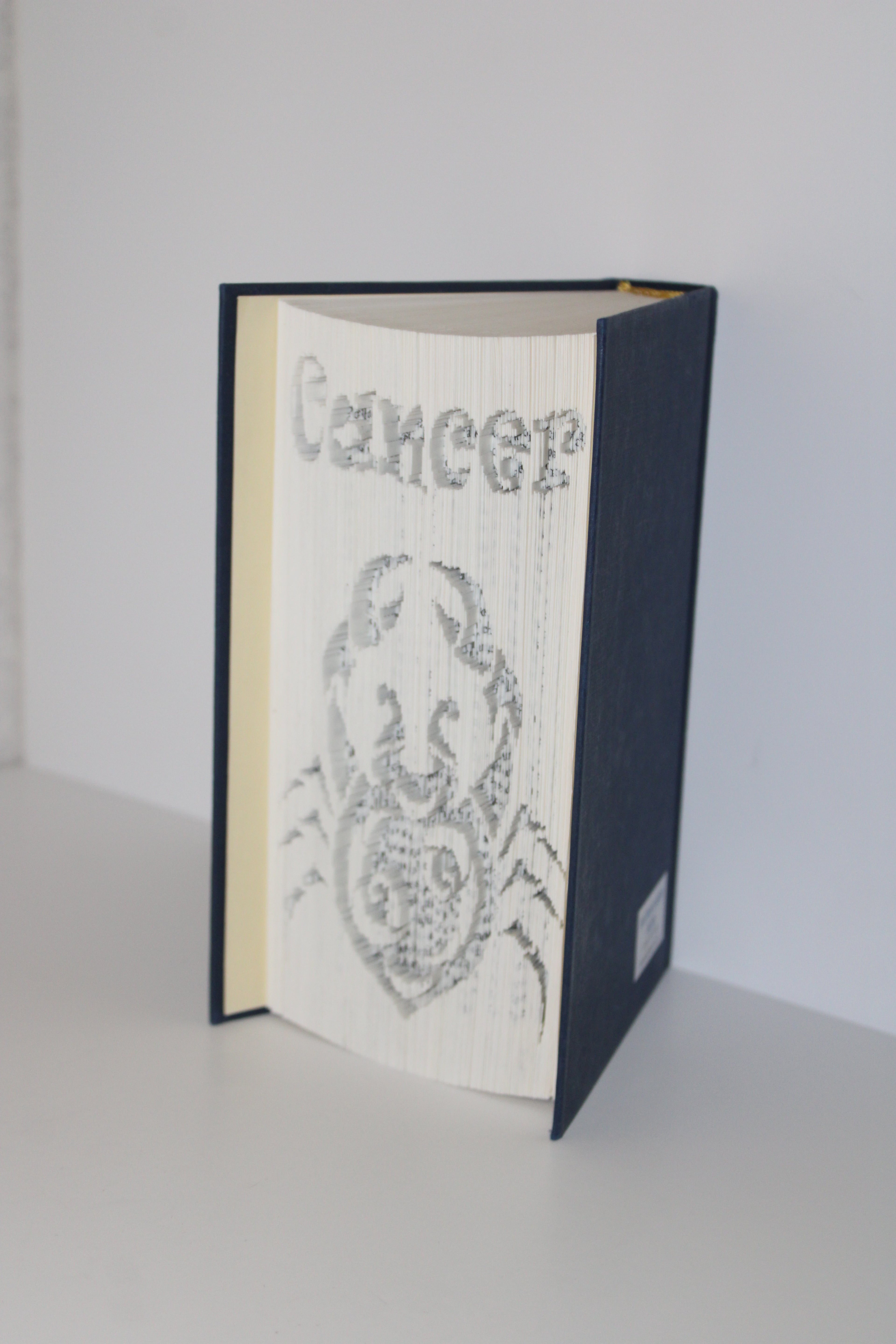 Livre signe astrologique Cancer