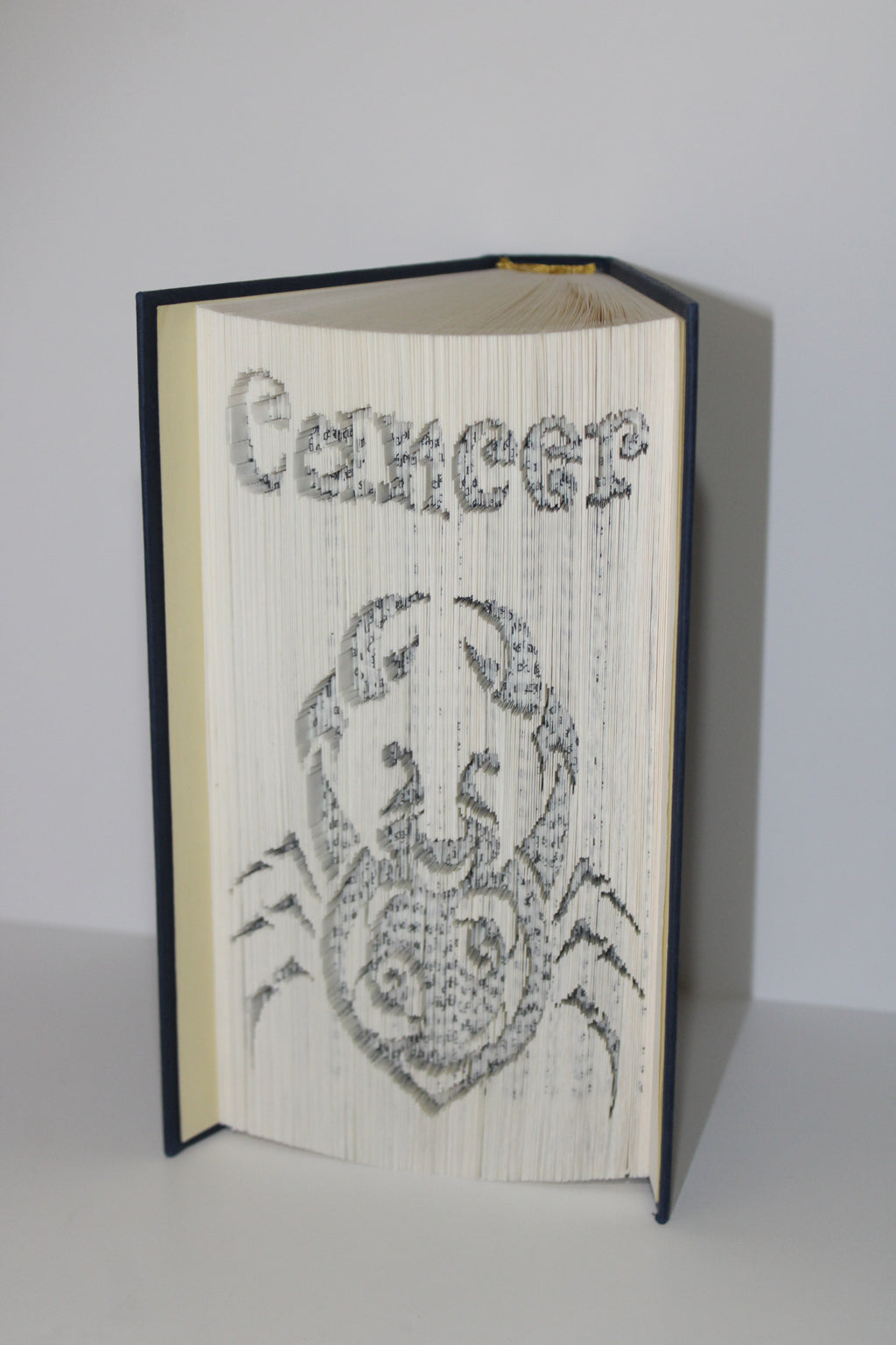 Livre signe astrologique Cancer