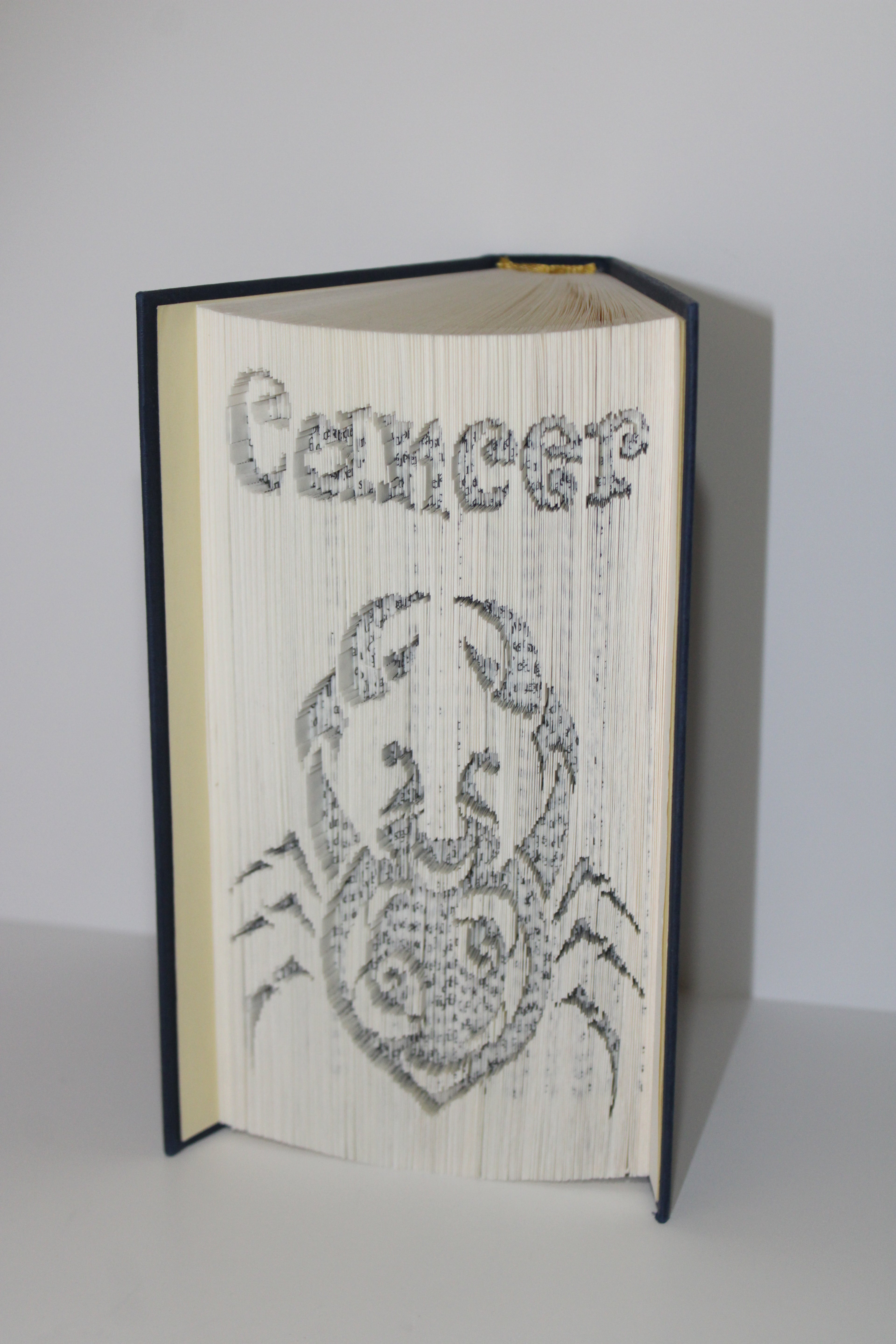 Livre signe astrologique Cancer