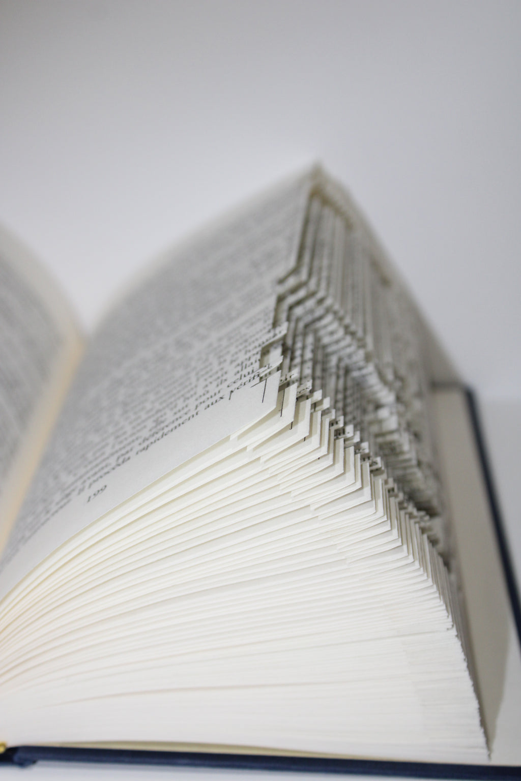 Livre signe astrologique Cancer